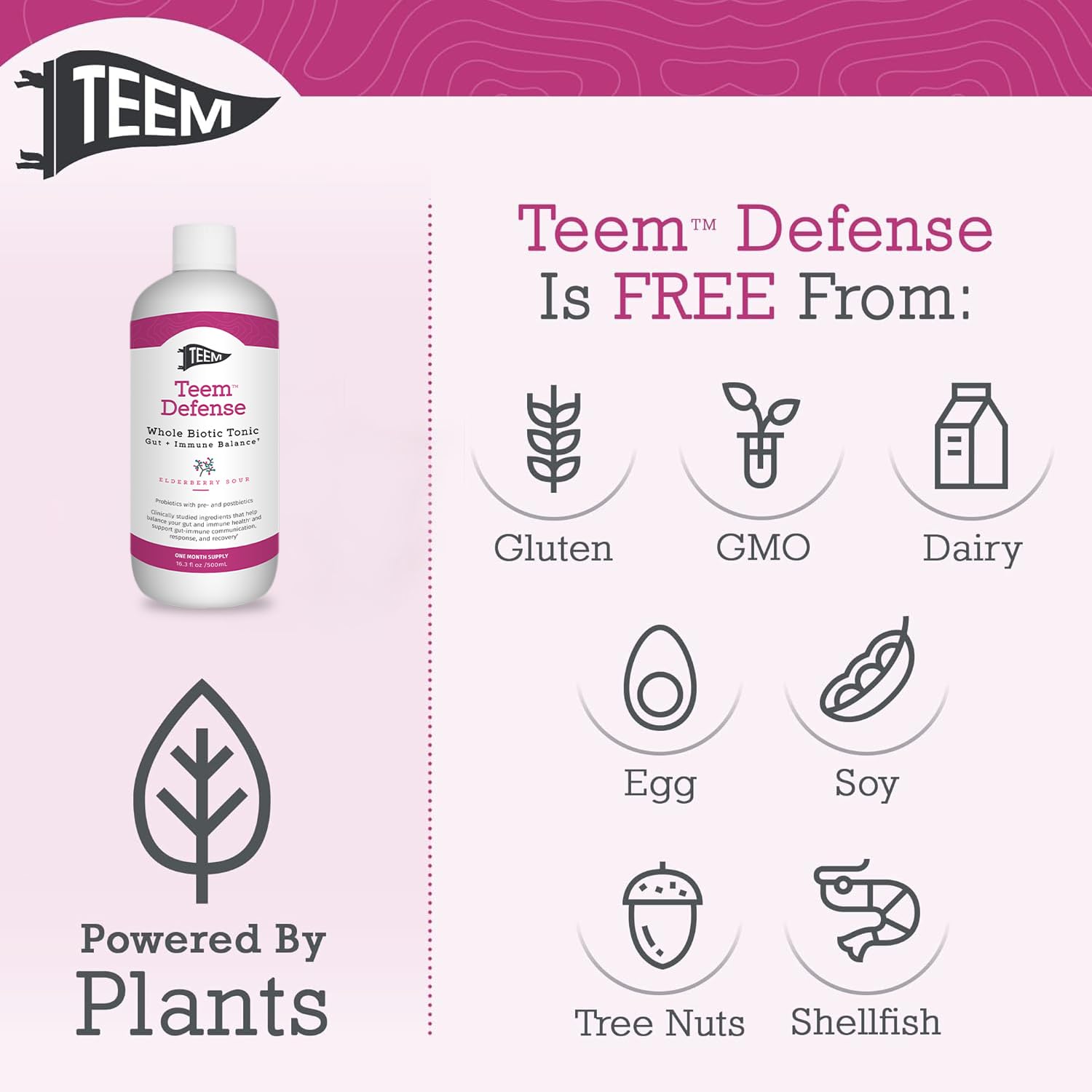 Teem Defense Liquid Probiotic with Elderberry, Whole Biotic Tonic for Digestion & Immunity, Prebiotic Probiotic & Postbiotic Supplement for Kids and Adults, 30 Day Supply – 16.3 Fl.Oz TeemAu supplements