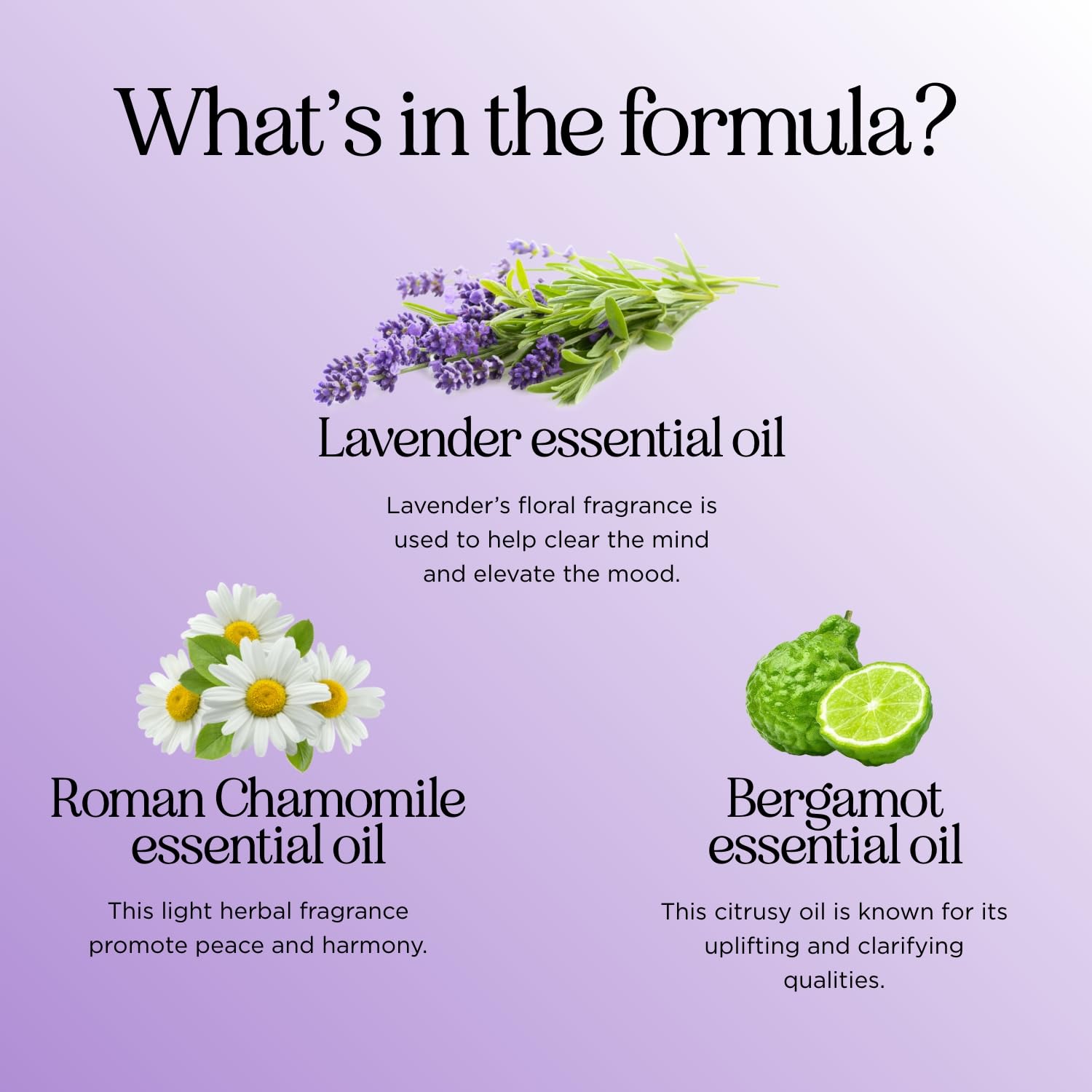 Sleep Essential Oil Blend for Diffuser - Snooze Blend Essential Oil for Sleep with Roman Chamomile Maple HolisticsAu supplements