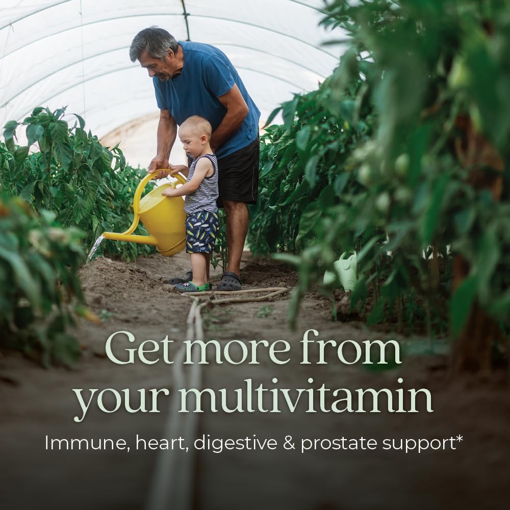 New Chapter Multivitamin for Men 50 Plus + Immune Support - Every Man's One Daily 55+ with Fermented Probiotics + Whole Foods + Astaxanthin New ChapterAu supplements