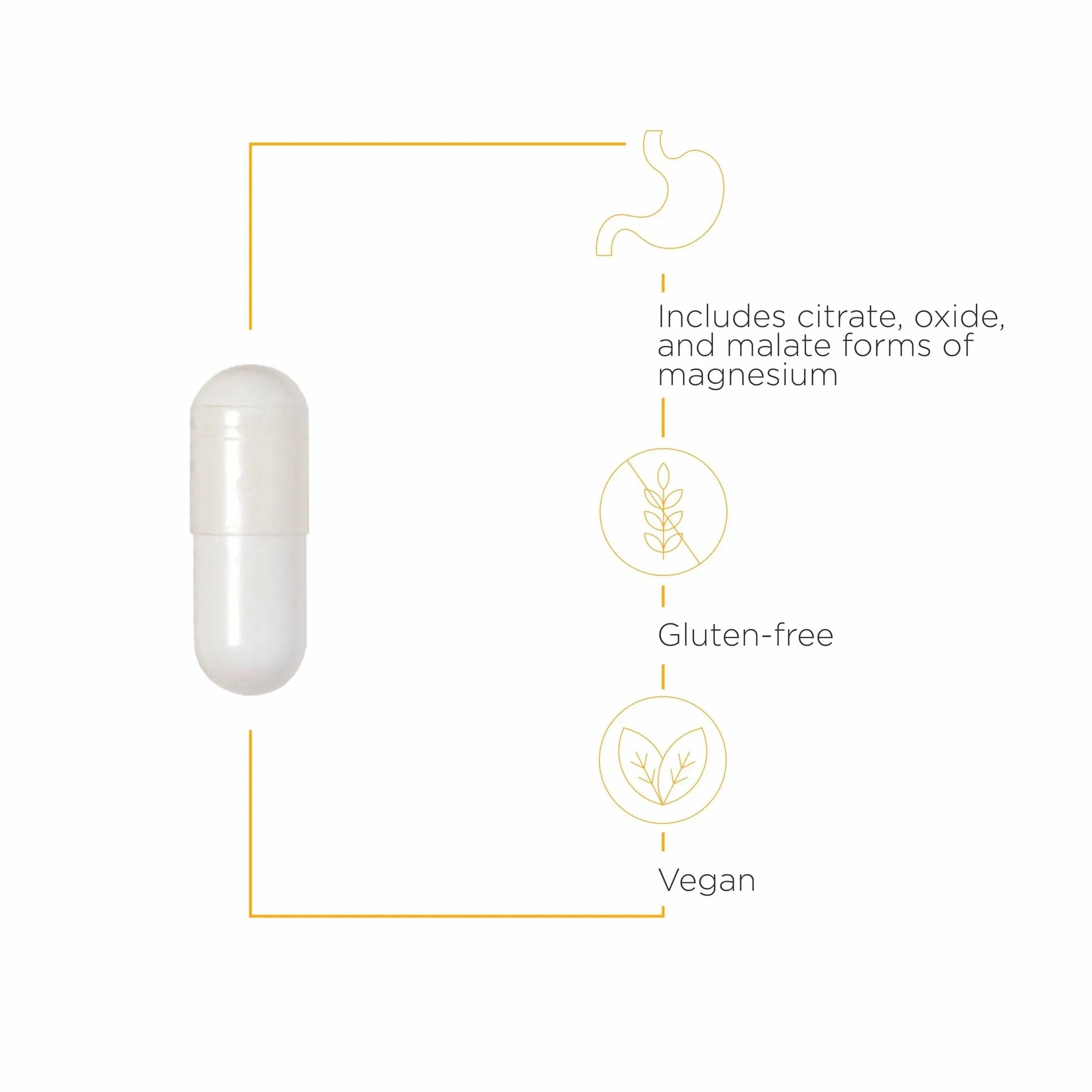Integrative Therapeutics Tri-Magnesium - Supports Cellular Energy & Energy Metabolism* - Magnesium Supplement for Heart & Nerve Health Support* - Third-Party Tested - 90 Capsules (90 Servings) Integrative Therapeuticsnz supplements