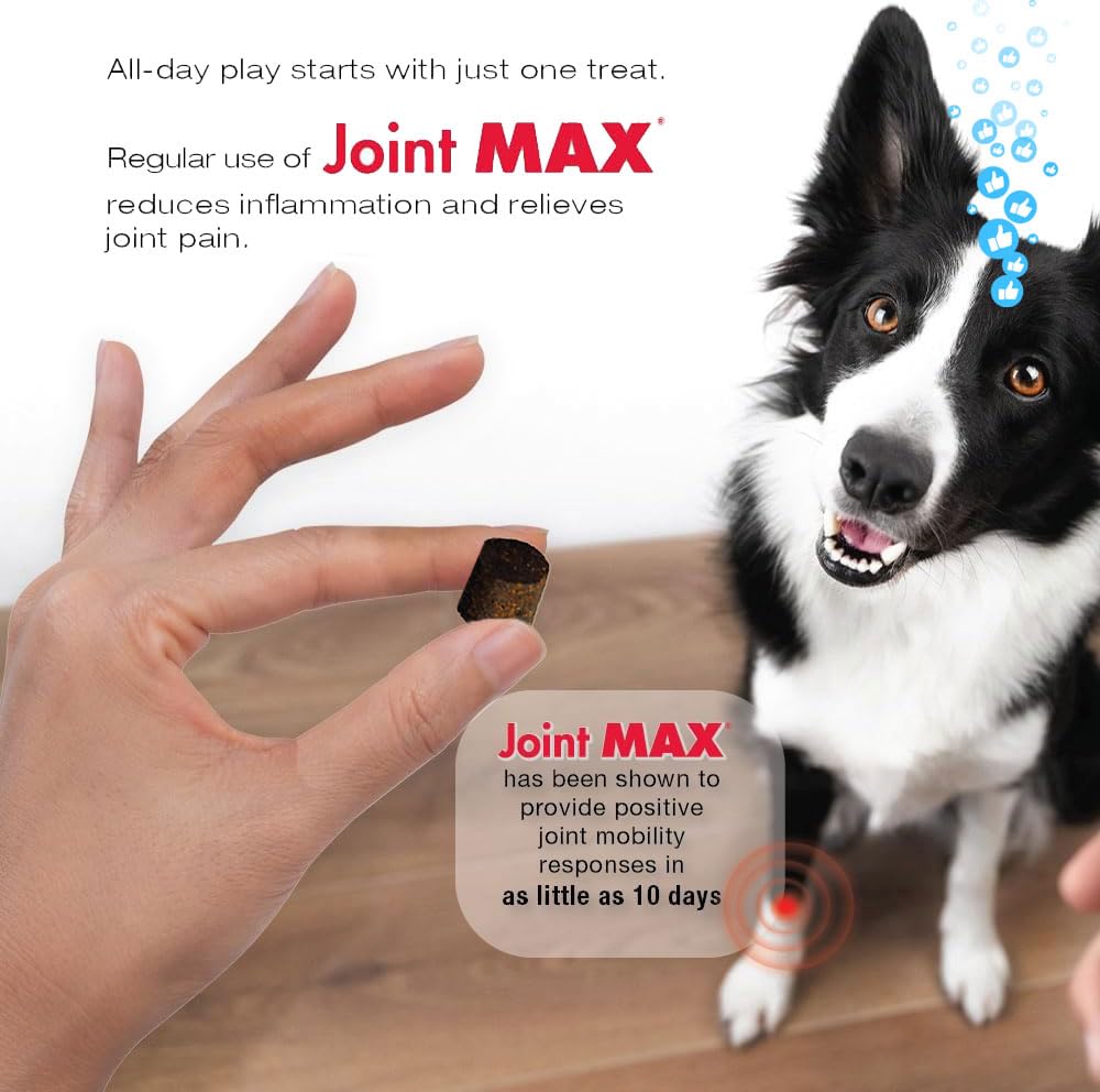 Joint Max TS Joint Supplement Vet Formulated Pain & Inflammation Relief Treats Hip Dysplasia & Arthritis, Glucosamine, Chondroitin, Turmeric, MSM, HA, Creatine, Omega 3 EPA + DHA.120 Soft Chews Joint MaxAu supplements