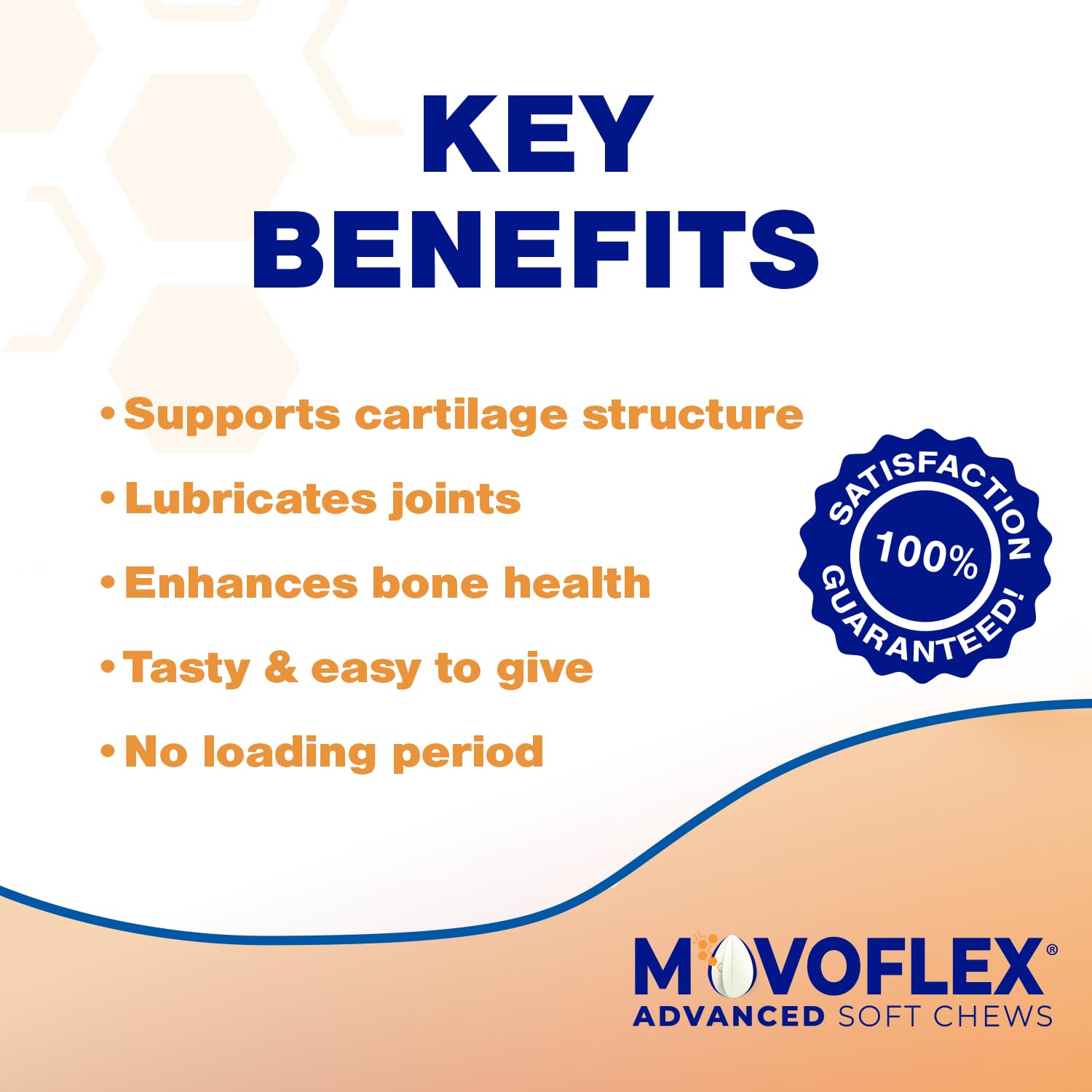 MOVOFLEX Advanced Soft Chews Hip Joint Support Supplement for Large Dogs 60 Count by Virbac MOVOFLEXAu supplements