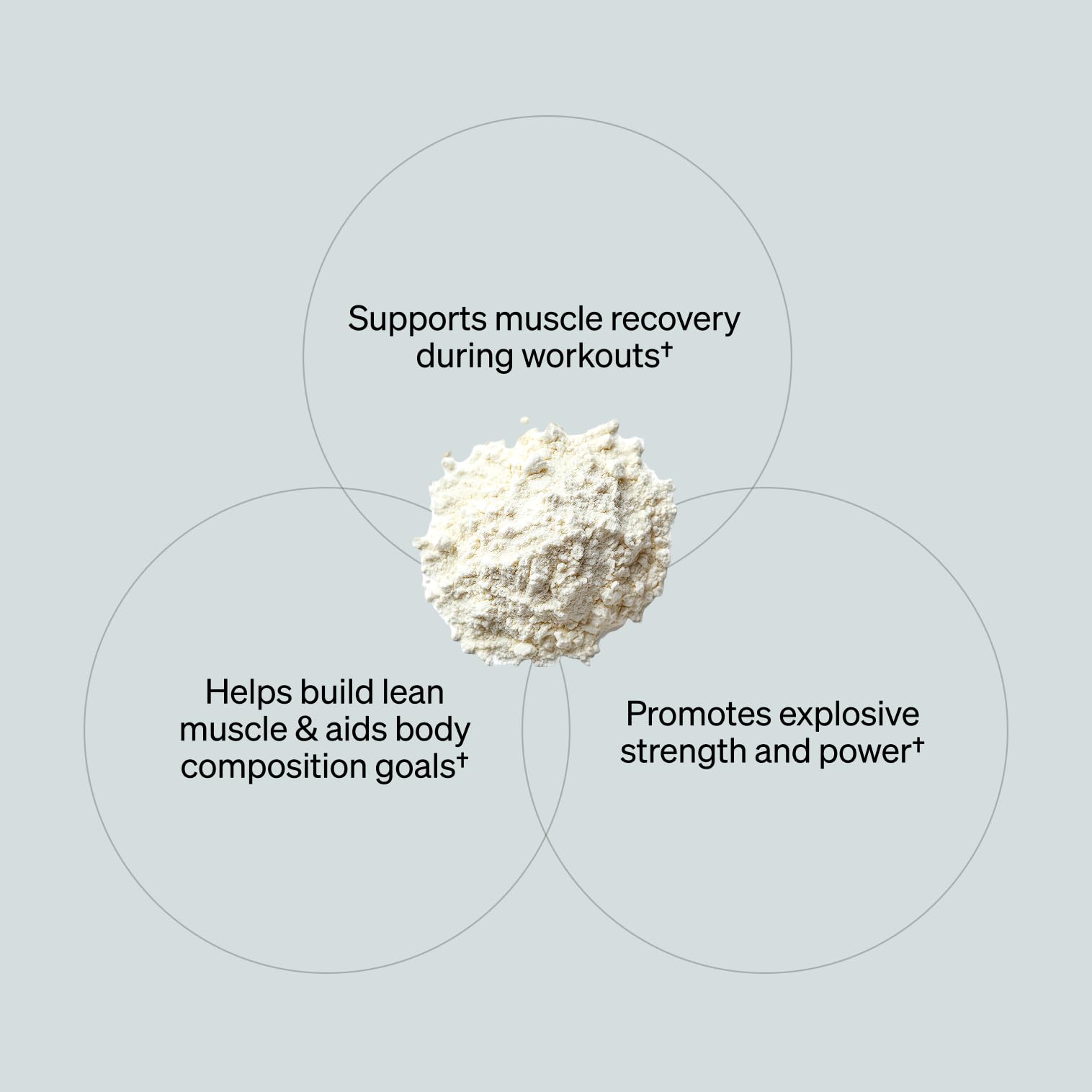 ONNIT Creatine Monohydrate Powder – Unflavored, 90-Serving Value Size – Supports Strength, Lean Muscle, and Brain Energy† – Keto Friendly, No Fillers, 90 Servings, 15.29 oz ONNITAu supplements