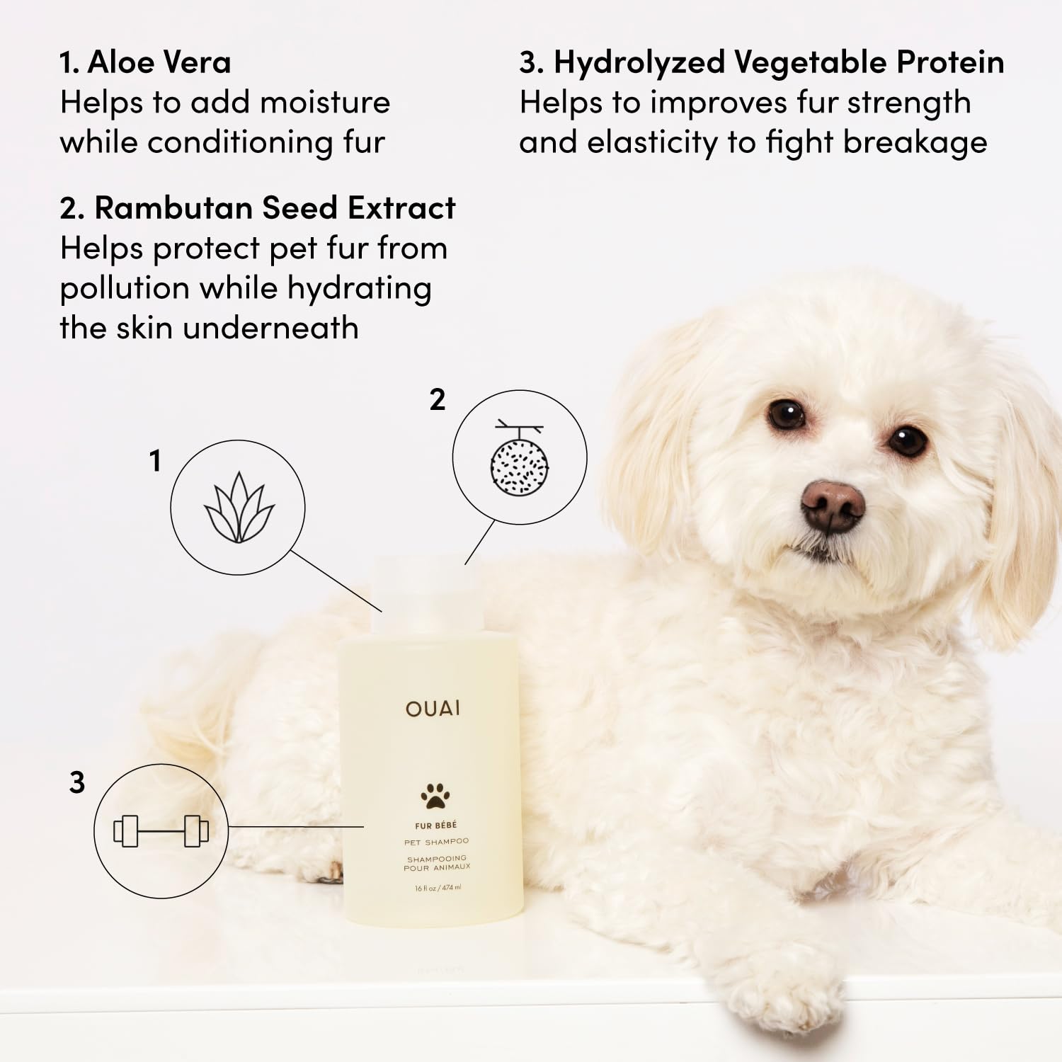 OUAI Fur Bébé Pet Shampoo, Mercer Street Scent - Dog Shampoo and Coat Wash for Hydrating, Cleansing and Adding Shine - Pet Supplies by OUAI (16 Fl Oz) OUAIAu supplements