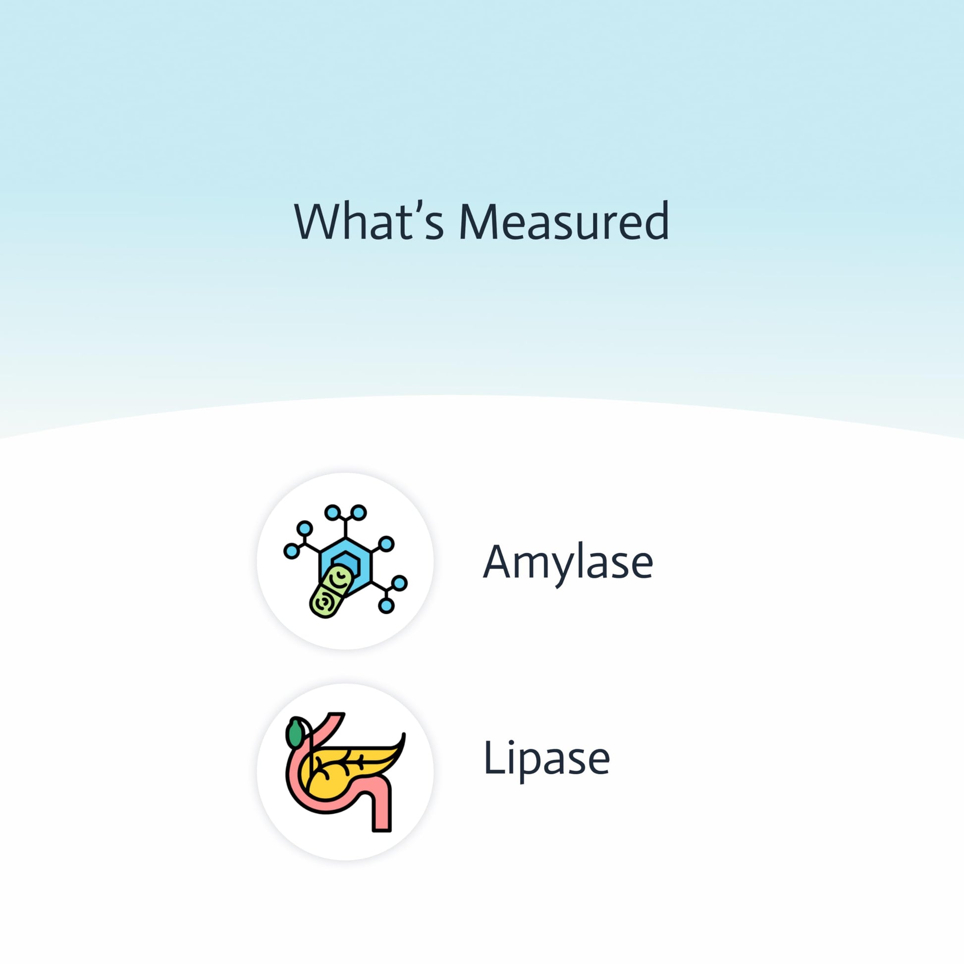 Pancreatic Function Test | 2-in-1 at-Home Test | Amylase | Lipase | Cap & CLIA Accredited Testing | Not Testable in NY & RI Choose HealthAu supplements