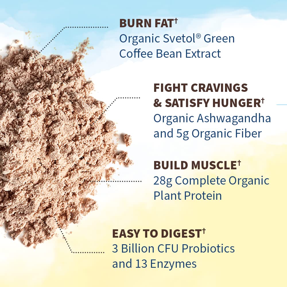Garden of Life Raw Organic Fit Vegan Protein Powder Chocolate, 28g Plant Based Protein Garden of LifeUS supplements