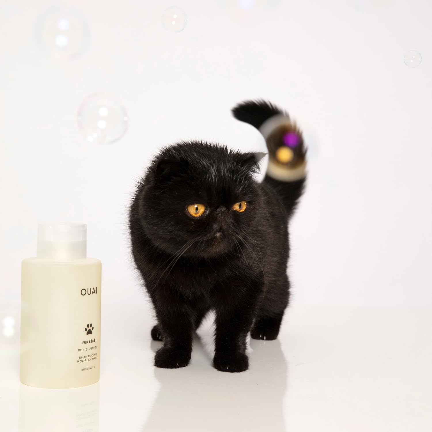OUAI Fur Bébé Pet Shampoo, Mercer Street Scent - Dog Shampoo and Coat Wash for Hydrating, Cleansing and Adding Shine - Pet Supplies by OUAI (16 Fl Oz) OUAIAu supplements