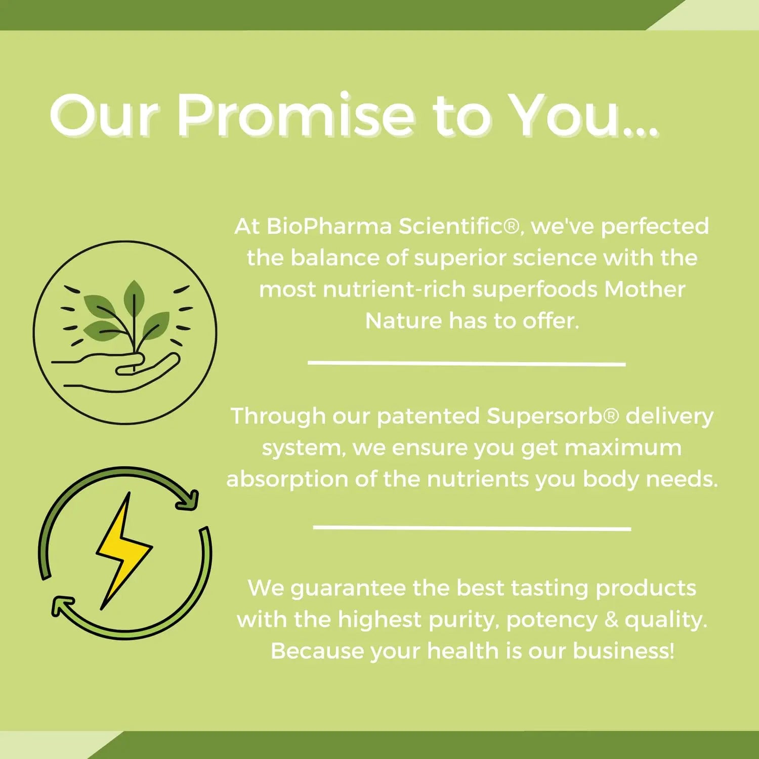 NanoMeal Plant-Based All-in-One Nutrition | Superfood Meal Replacement Powder | Tropical Fruit Blend | 10 Servings | Protein, Greens & Omega for Gut & Immune Support Biopharma Scientificnz supplements