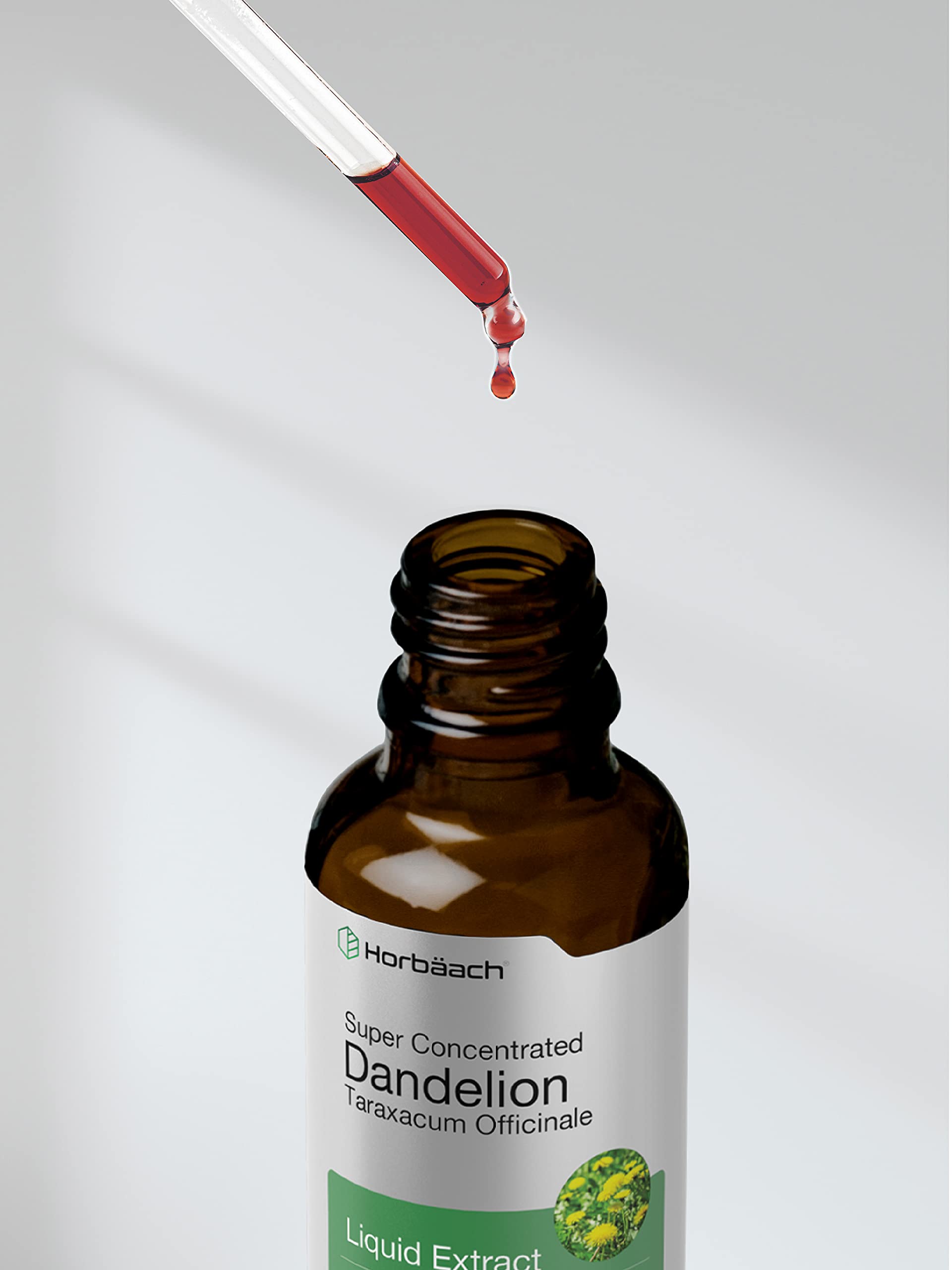 Dandelion Root Extract | 2 fl oz | Super Concentrated | Alcohol Free Liquid Tincture HorbäachAu supplements