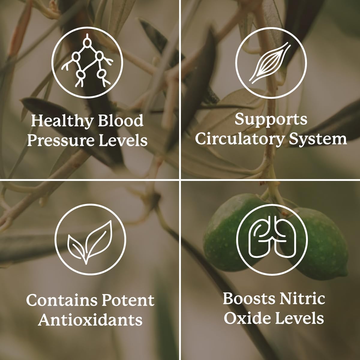 Nature's Sunshine Blood Pressurex 60 Capsules Nature's SunshineAu supplements