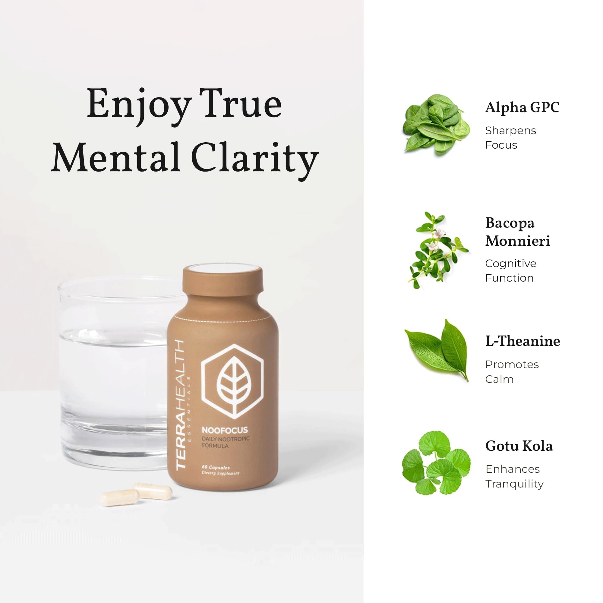 Terra Health Essentials NOOFOCUS - Nootropics Brain Support Supplement with Adaptogenic Mushrooms, Alpha-GPC, Gotu Kola, L-Theanine for Focus & Memory - All Natural, 30 Day Supply Terra Health EssentialsAu supplements