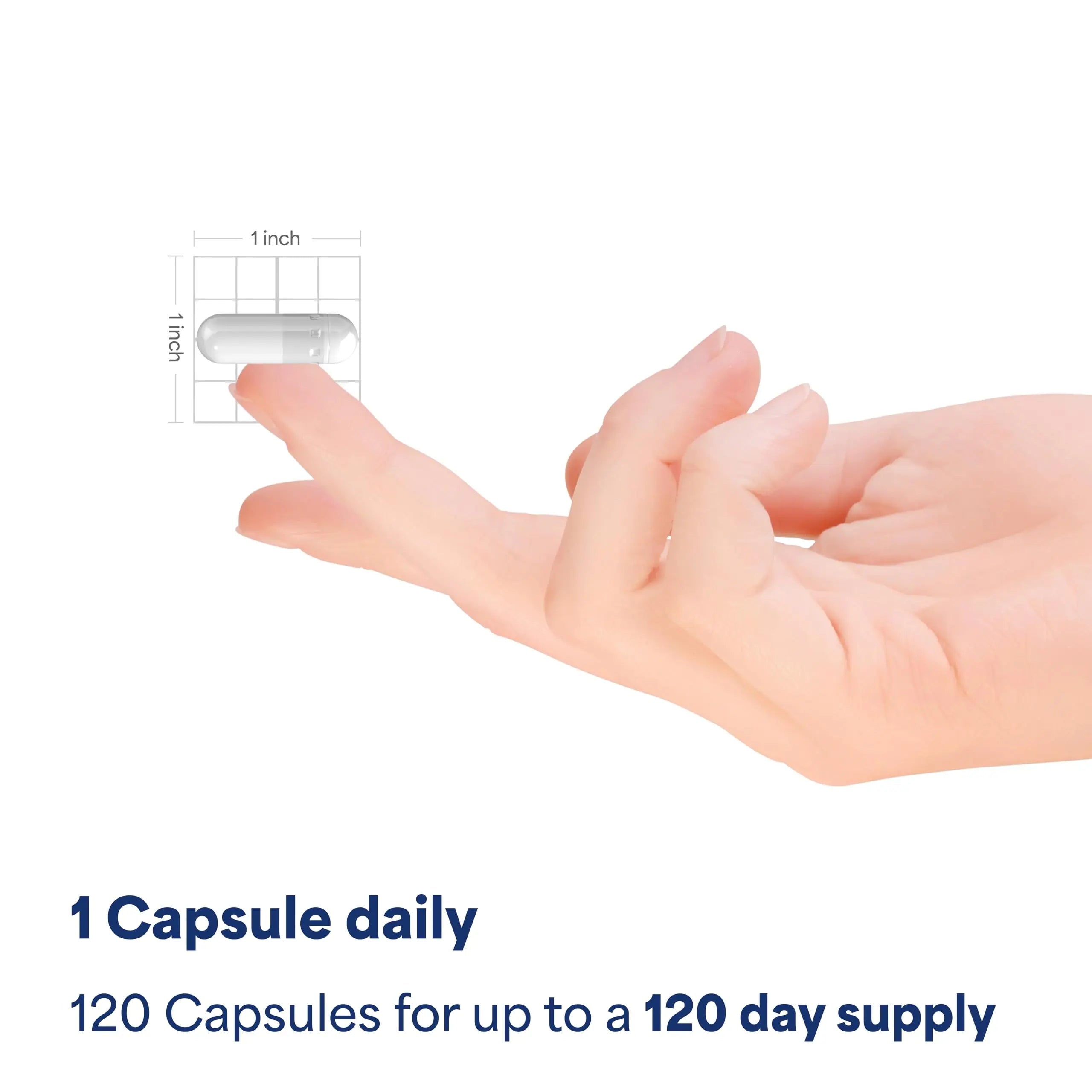 Puritan's Pride Triple Magnesium Complex with Magnesium Oxide, Aspartate, and Citrate 400mg, Dietary Supplement for Muscle, Heart, Nerve, and Bone Support, 120 Rapid Release Capsules Puritan's Pridenz supplements