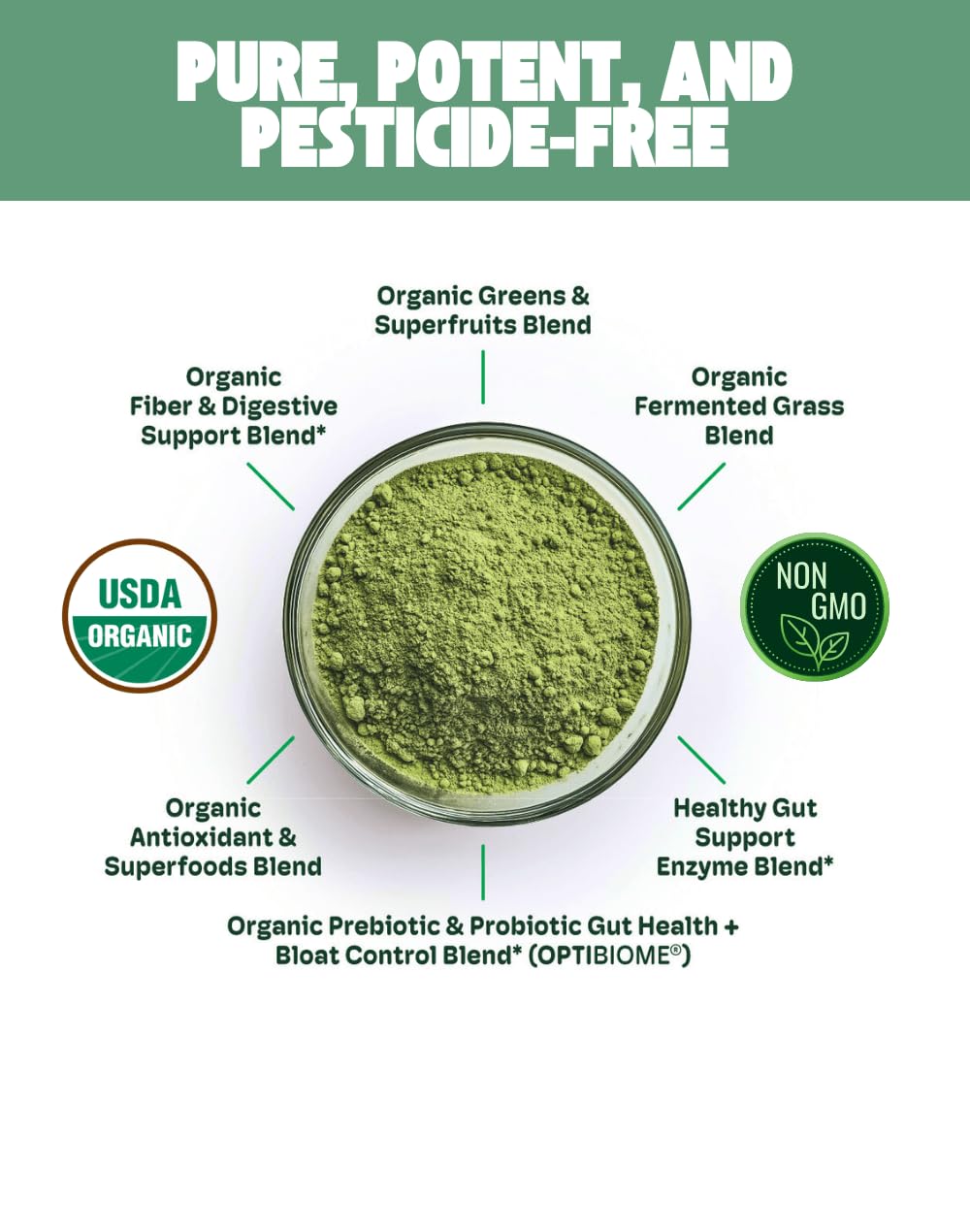 Cheerific Green Apple Bliss Superfood Powder - 20+ Organic Superfoods + Prebiotic & Probiotics + More - Keto Friendly - Supports Positive Mood, Gut Health - Vegan, Gluten Free, Non-GMO - 30 Day Supply CheerificAu supplements