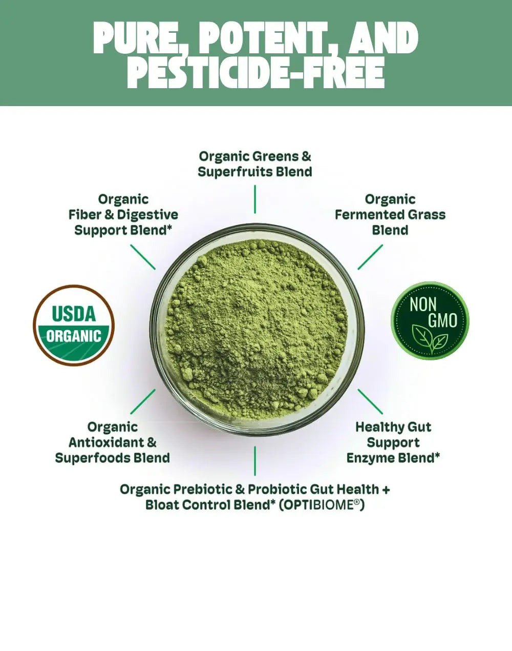 Cheerific Crisp Apple Greens Superfood Powder - 20+ Organic Superfoods + Prebiotic & Probiotics + More - Keto Friendly - Supports Positive Mood, Gut Health - Vegan, Gluten Free, Non-GMO - 30 Day Cheerificnz supplements