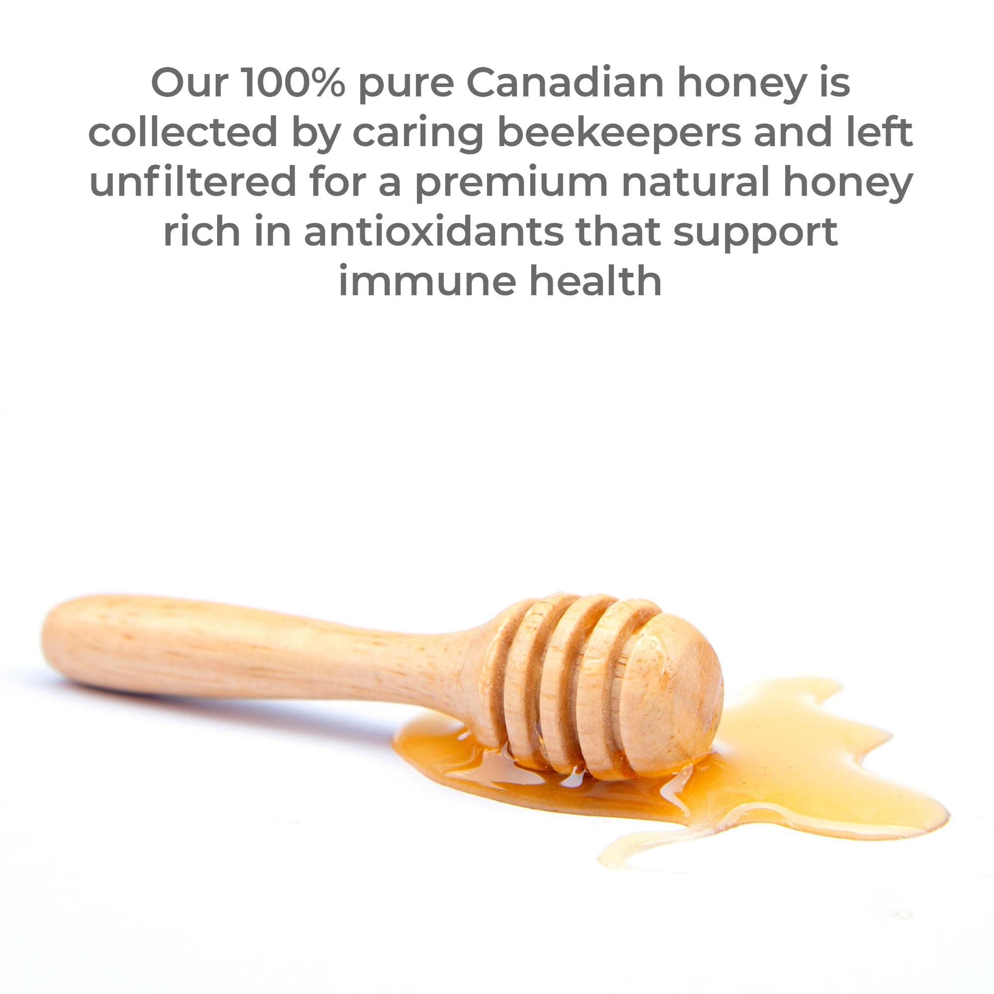 Premier Research Labs Canadian Gold Honey - Raw Honey, Pure Honey, Raw Unpasteurized Honey, Unfiltered, 100% Pure, Sugar-Free, Unprocessed Wildflower Honey - 1 lb Jar Premier Research LabsAu supplements