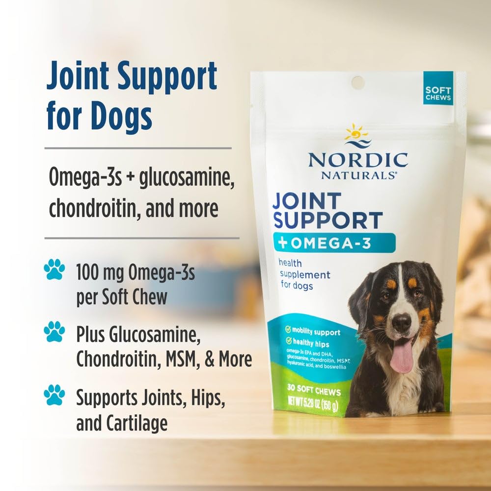 Nordic Naturals Pet Joint Support + Omega 3 Soft Chews for Dogs, Pork Bone Broth Flavored - Promotes Mobility, Hip and Joint Support with Omega-3 Fish Oil, MSM, EPA & DHA - 30 Non-GMO Chews Nordic NaturalsAu supplements