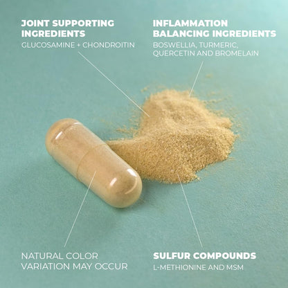 Glucosamine Chondroitin MSM Turmeric Boswellia - Joint Support Supplement. Antioxidant Vimerson HealthUS supplements
