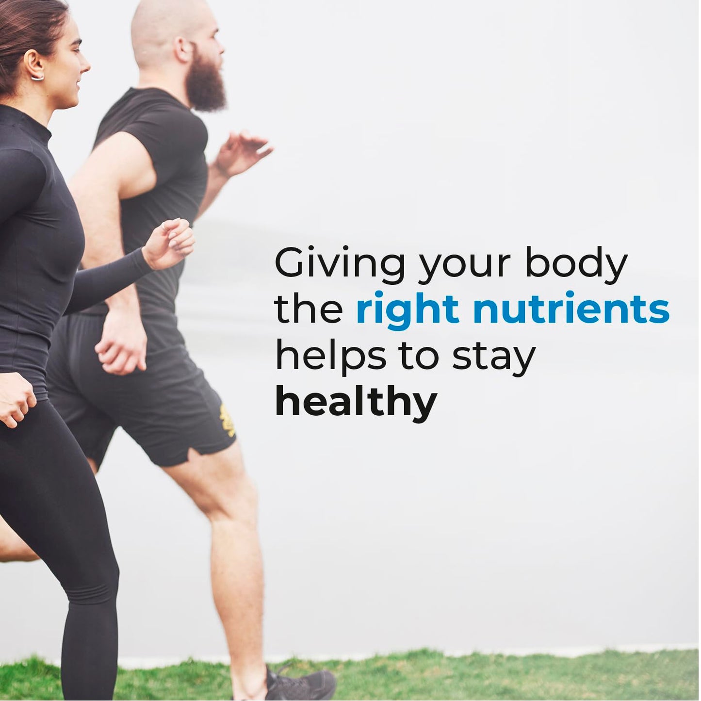 Biogenique Acai Berry Extract & Psyllium Powder, Energy Boost, Free Radical Scavenger BiogeniqueUS supplements