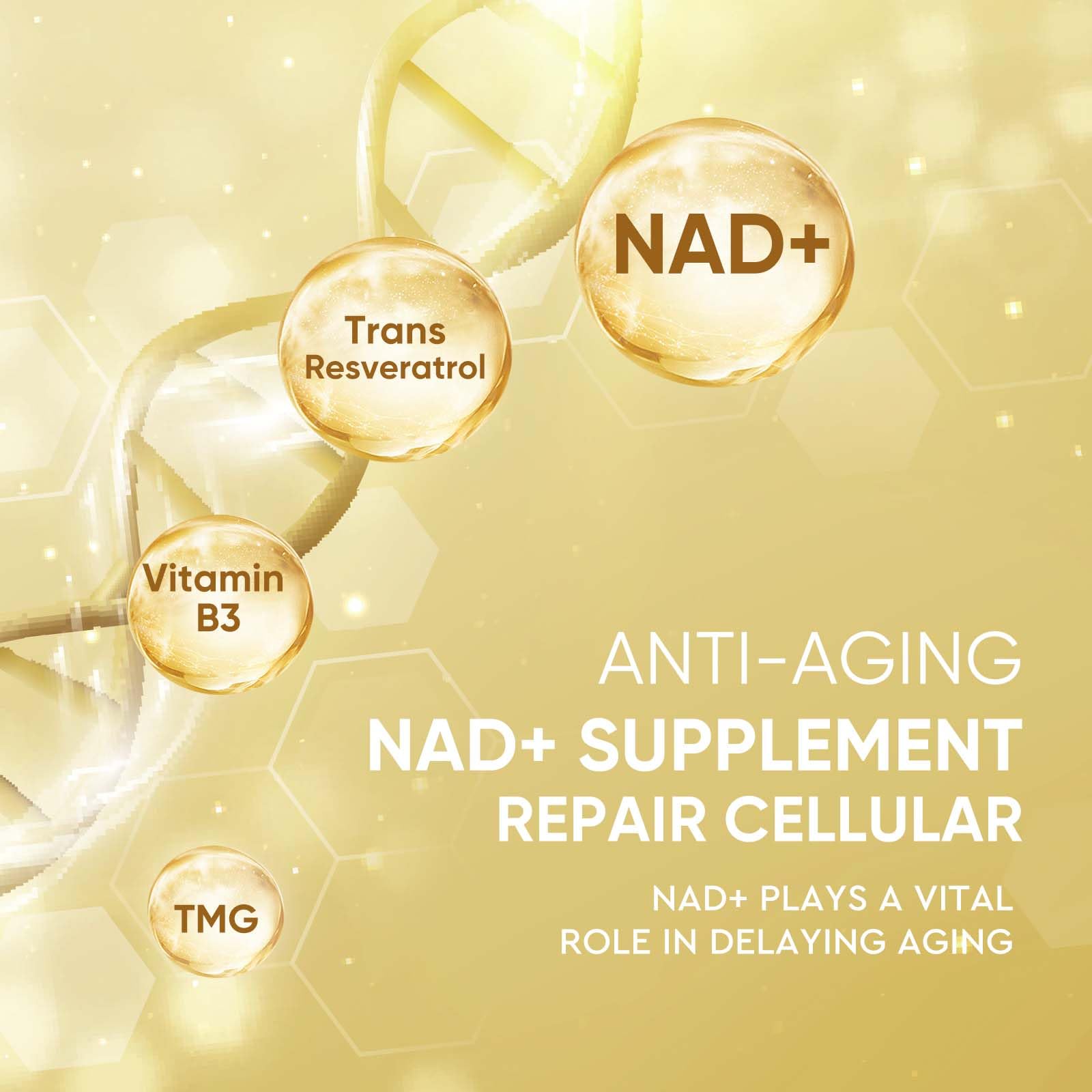 Life Nutrition NAD+ Supplement 1000 mg - 120 Capsules True NAD+ & Resveratrol, NMN Alternative Supports Anti-Aging, Cellular Energy & Repair, Metabolism & Brain Boost for Men & Women Life NutritionAu supplements