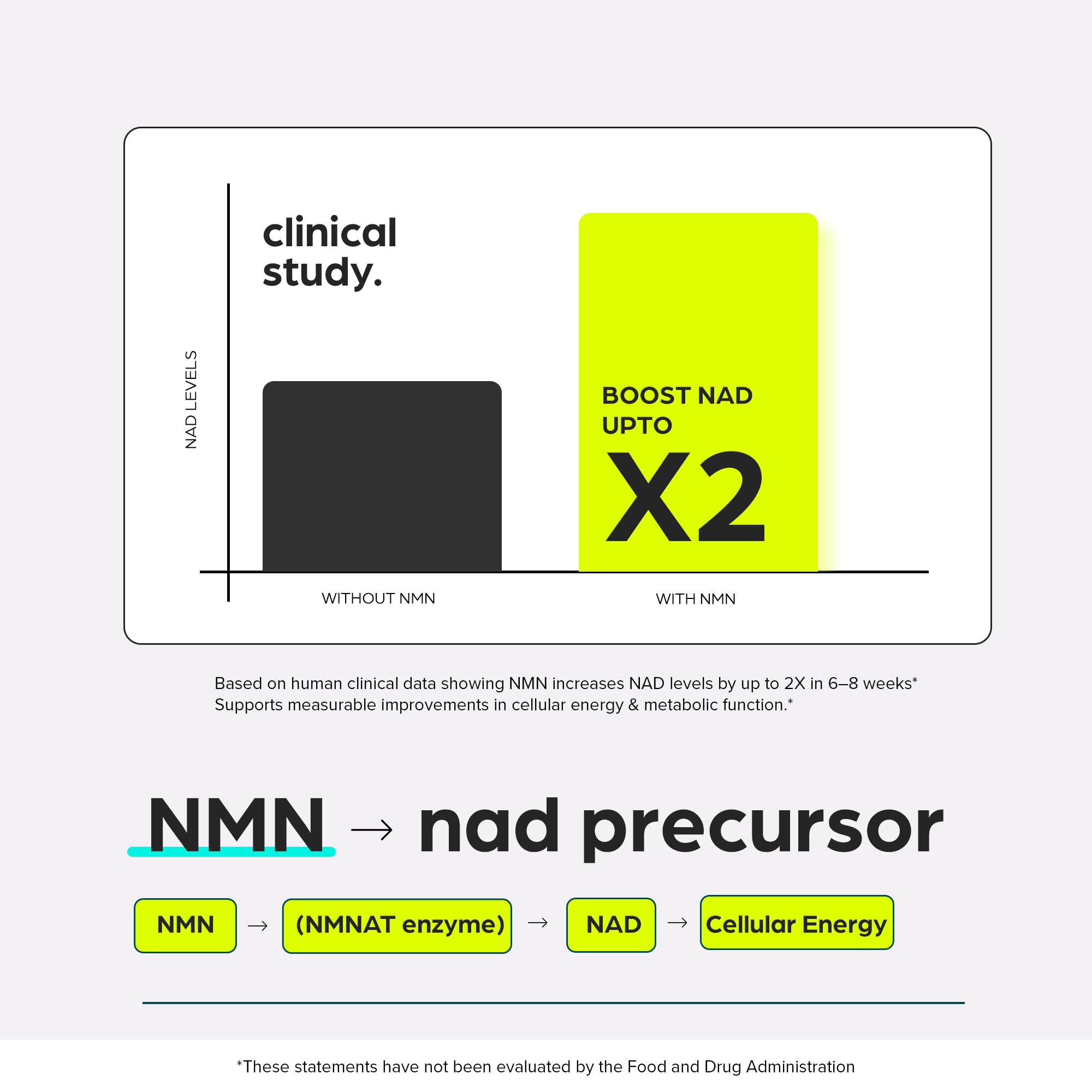 NMN Supplement 8957mg with Real NAD+ Not Just a Booster | Urolithin A, Resveratrol, CoQ10, Alpha Lipoic Acid, Green Tea Extract | Cellular Longevity & Energy Support for Men & Women ThinbiAu supplements