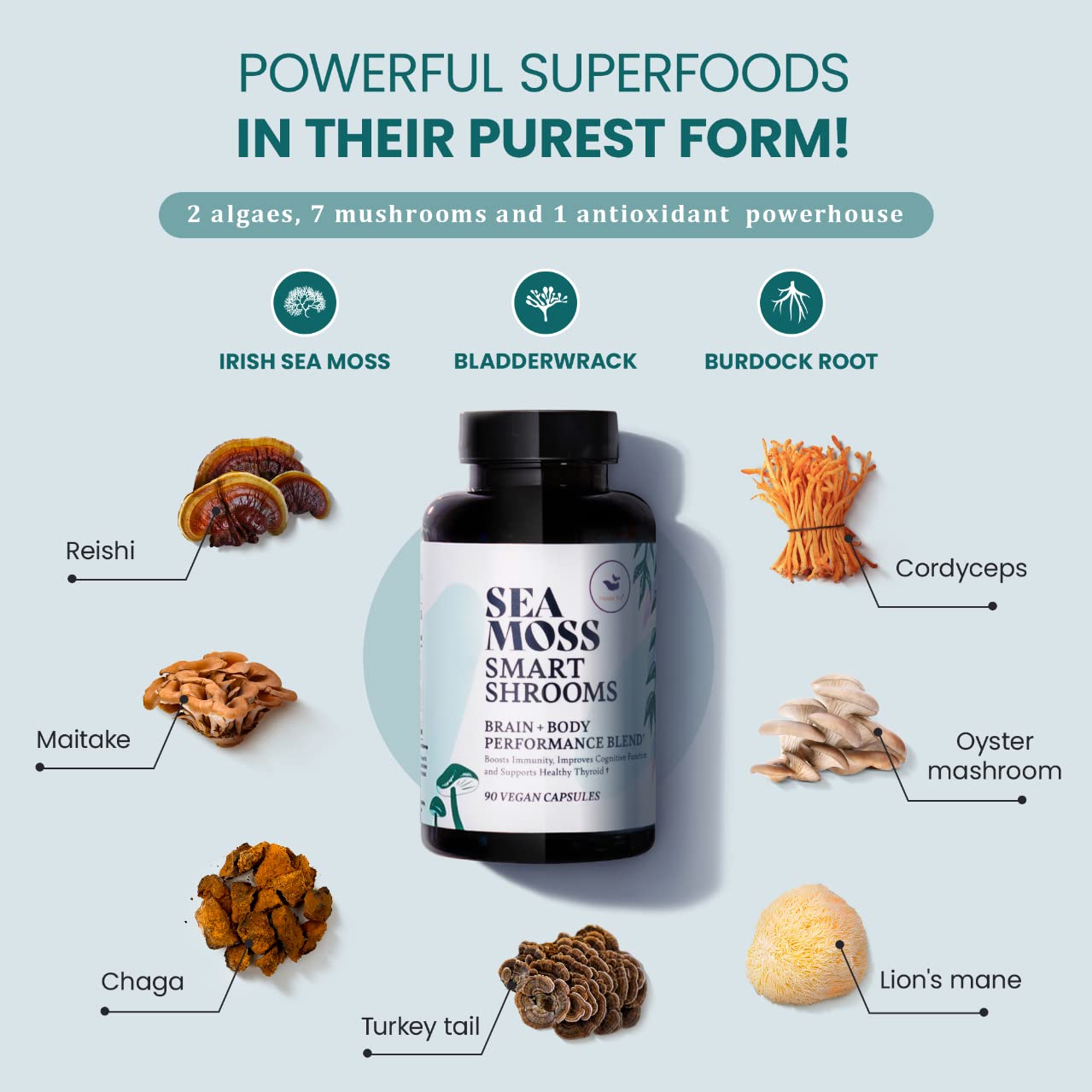 HAPPY FOX Irish Sea Moss Capsules & Mushroom Complex - Organic Seamoss with Adaptogens for Brain Health, 1500mg, 90 Vegan Capsules, Organic Mushroom Supplement HAPPY FOXAu supplements