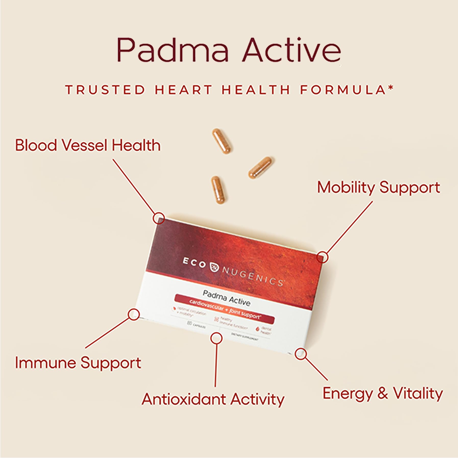 EcoNugenics Padma Active for Women & Men: Vitamin C Supplement for Collagen Formation, Energy Levels, and Immune System, Cellular & Antioxidant Support – Tibetan Recipe of Natural Herbs & Minerals EcoNugenicsAu supplements