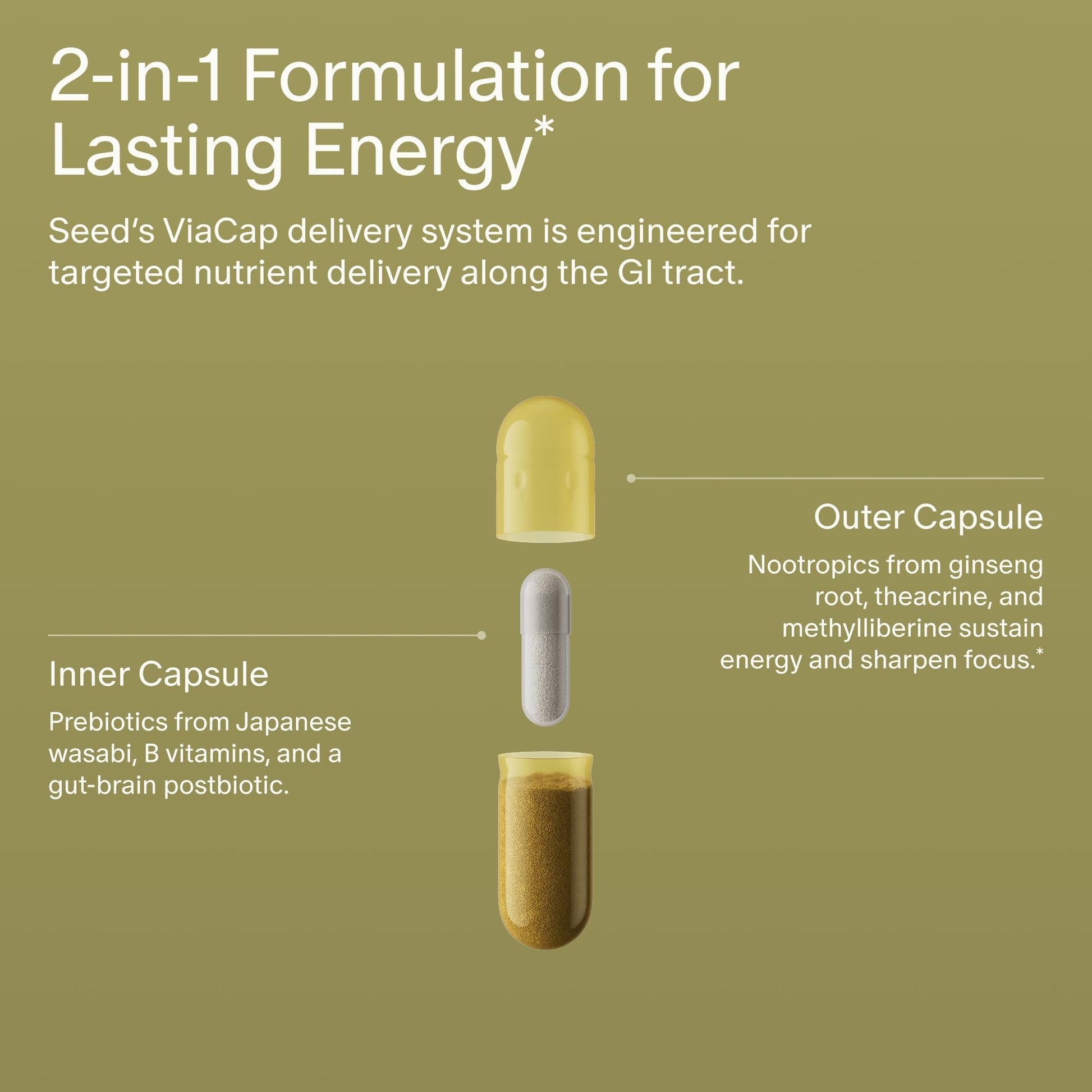Seed AM-02 Energy + Focus - Daily Nootropic Supplement for Women & Men - Fast-Acting & Sustained Energy for Up to 6 Hours - Caffeine-Free Vegan & Shelf-Stable - 30 Capsules (30-Day Supply) Visit the Seed StoreUS supplements