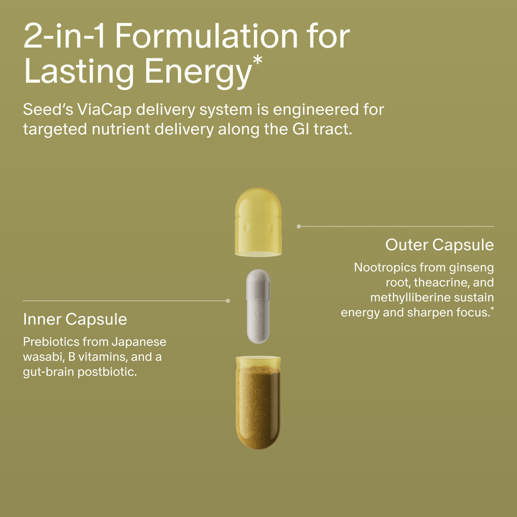 Seed AM-02 Energy + Focus - Daily Nootropic Supplement for Women & Men - Fast-Acting & Sustained Energy for Up to 6 Hours - Caffeine-Free Vegan & Shelf-Stable - 30 Capsules (30-Day Supply) Visit the Seed StoreUS supplements
