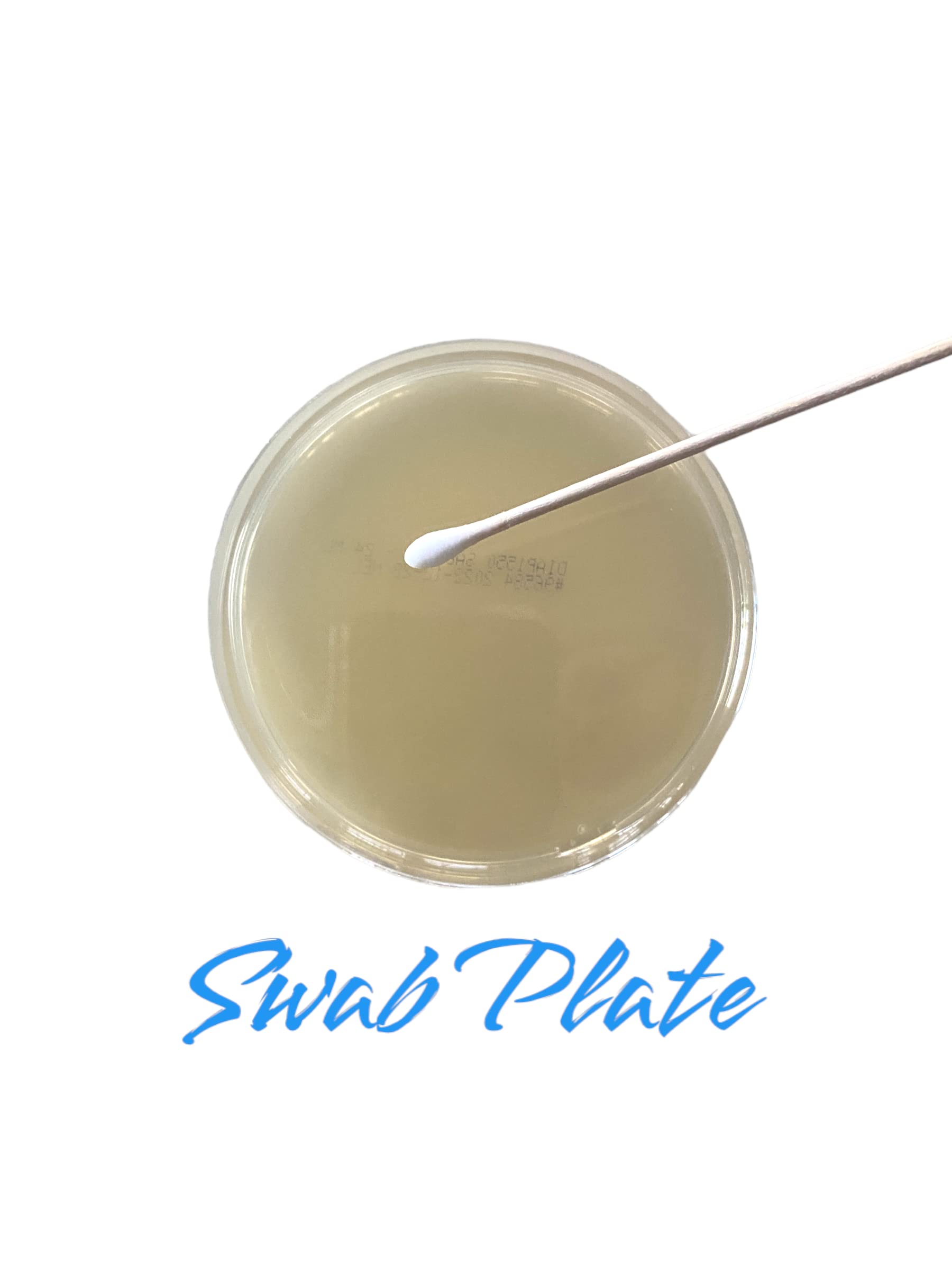 Diamante Scientific Essential Bacteria Kit. Pre-Poured Agar Plates & Swabs. Perfect for Kids. Great for Learning About Microbiology. STEM Education. Experiment Guide eBook Included! Diamante ScientificAu supplements