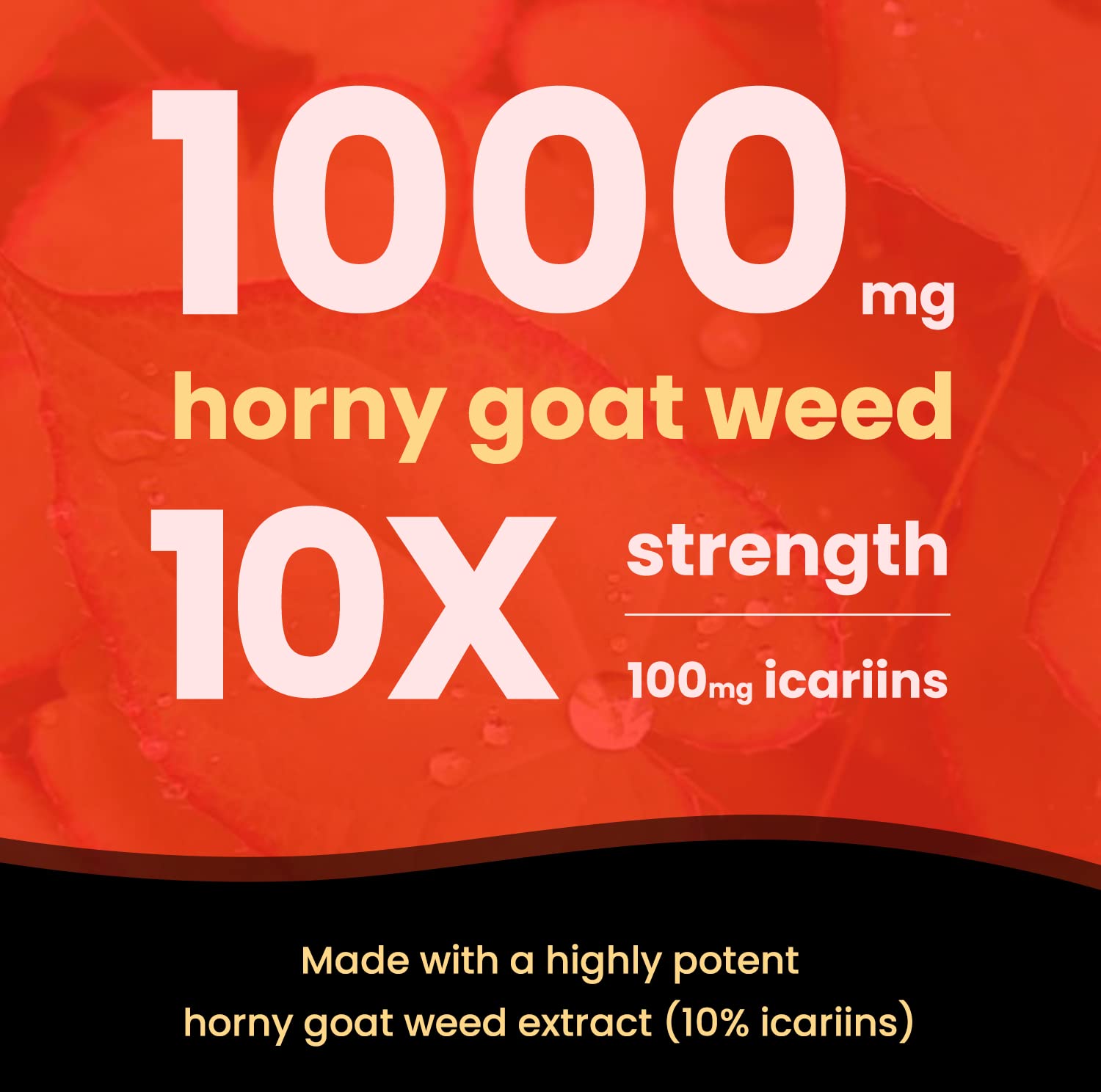 NutraChamps Horny Goat Weed, 1000mg Epimedium Energy Supplement, 10X Strength Icariin, Ginseng, Tribulus & Maca Pills for Women & Men, Enhanced Absorption with Black Pepper, 60 Vegan Capsules NutraChampsAu supplements