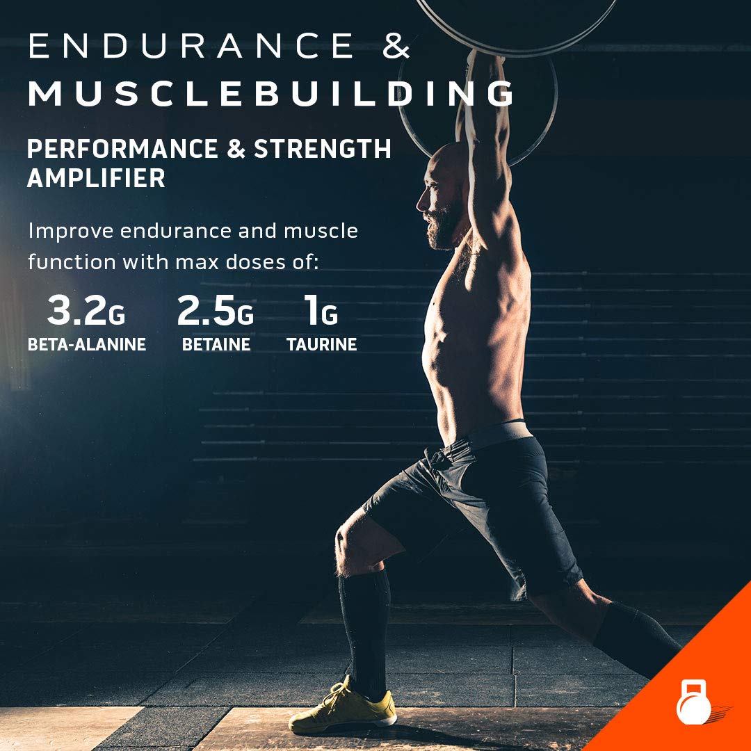 Pre Workout for Men & Women | MuscleTech Shatter Elite Pre-Workout | Preworkout Energy MuscleTechAu supplements