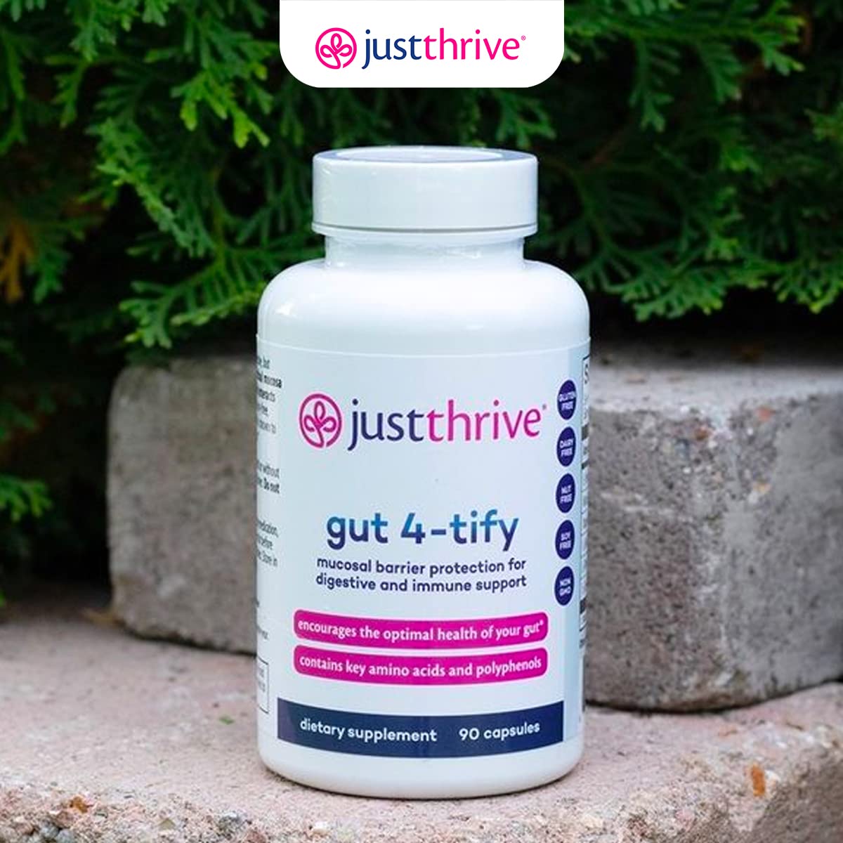 Just Thrive Gut 4-tify - Gut Health Supplements for Women and Men - Anti Bloat, 90 Vegetable Capsules Just ThriveUS supplements