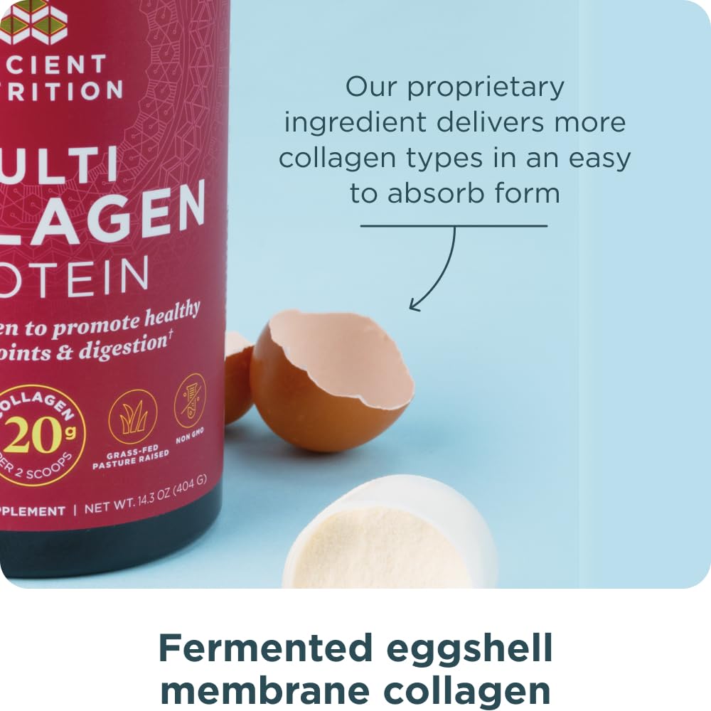 Ancient Nutrition Collagen Powder Protein with Probiotics, Unflavored Multi Collagen Protein with Vitamin C, 45 Servings, Hydrolyzed Collagen Peptides Supports Skin and Nails, Gut Health, 16oz Ancient NutritionAu supplements