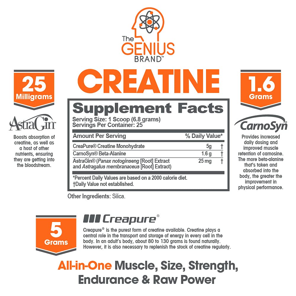 Genius Pre Workout Powder, Sour Cherry, and Genius Micronized Creatine Monohydrate The Genius BrandAu supplements