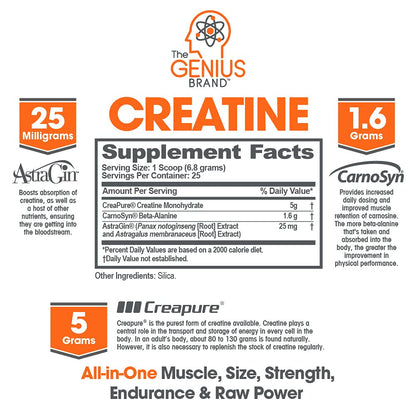 Genius Pre Workout Powder, Sour Cherry, and Genius Micronized Creatine Monohydrate The Genius BrandUS supplements