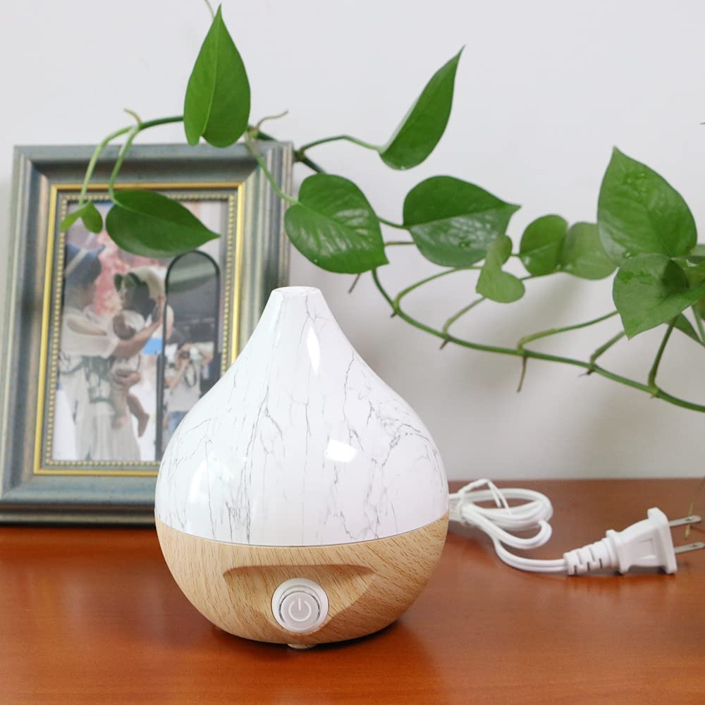 Mottery Menstrual Cups Steamer Machine High Temperature Wash Your Cup 99.9% Dirty 8 Minutes MotteryAu supplements