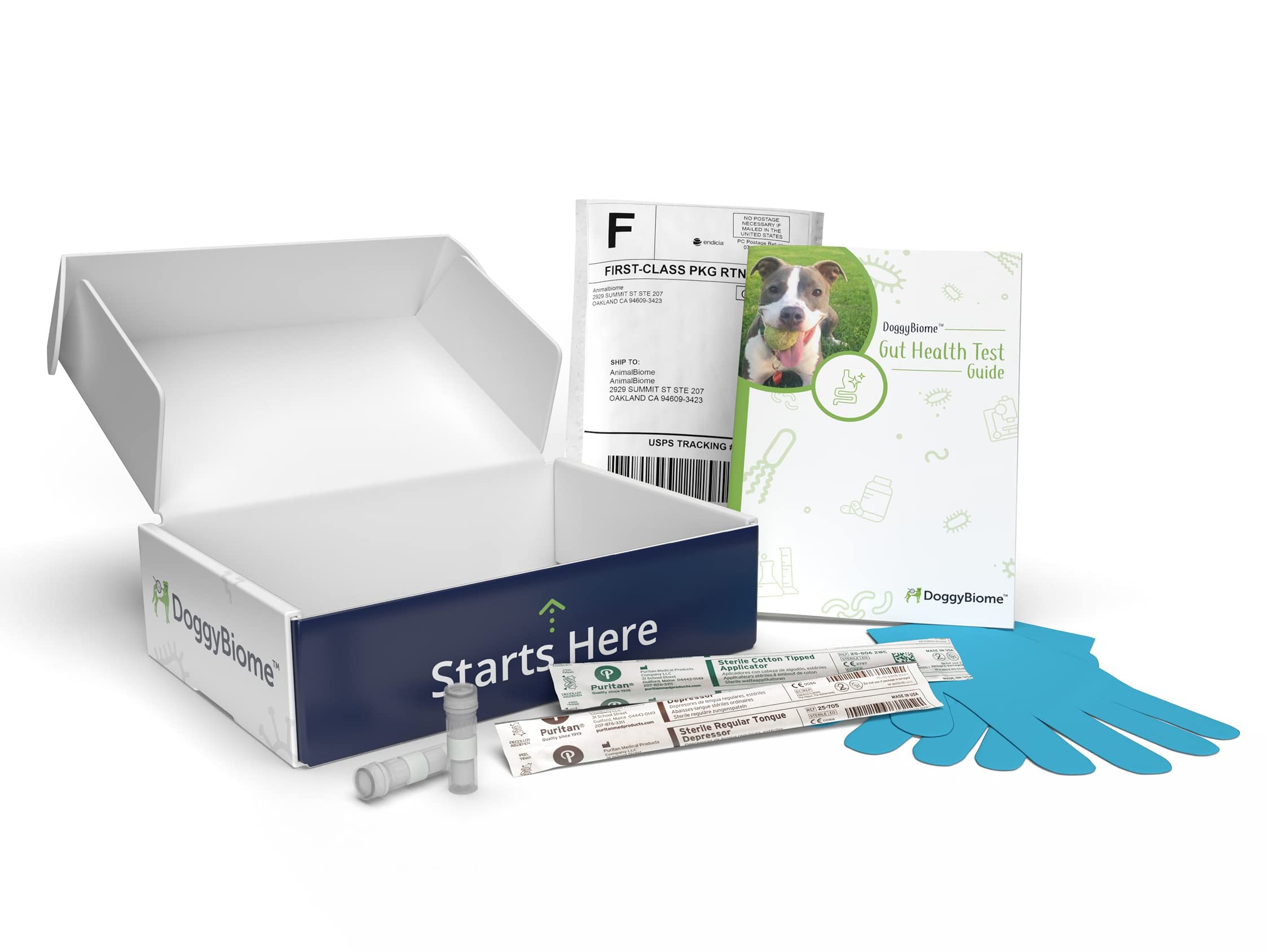 AnimalBiome Dog Gut Health Test – DoggyBiome At Home Stool Testing Kit, Canine Fecal Analysis for Digestive Issues, Diarrhea & Allergy Insights w/Personalized Report & Custom Plan (Dogs in US) AnimalBiomeAu supplements