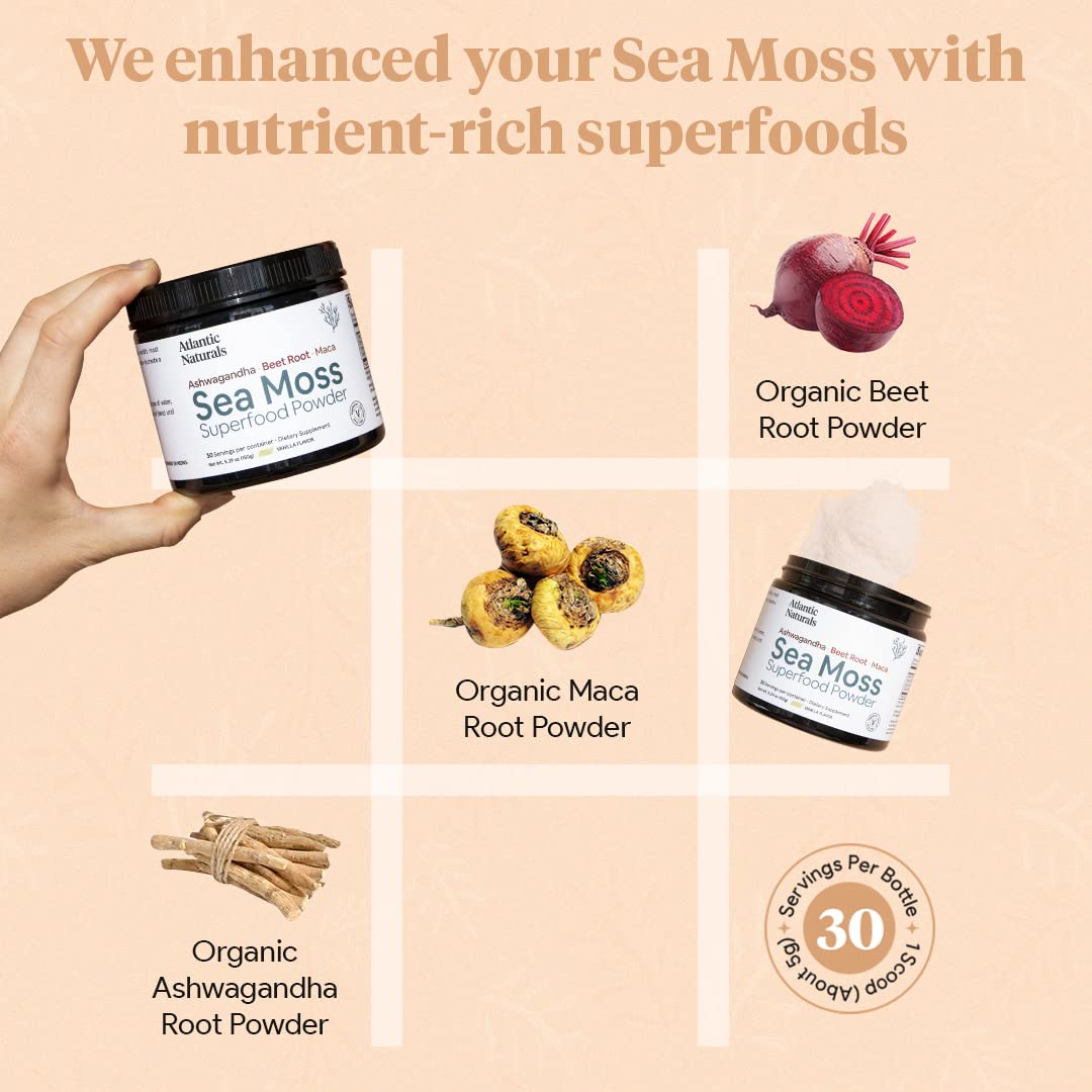 Organic Sea Moss Superfood Powder with Ashwagandha, Beet Root, and Maca Atlantic NaturalsUS supplements