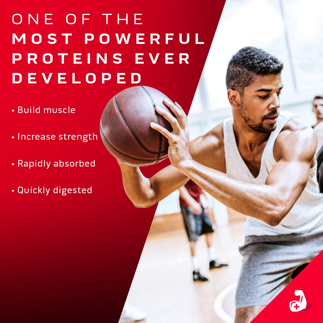 Whey Protein Powder MuscleTech Nitro-Tech Whey Gold Protein Powder Whey Protein MuscleTechAu supplements
