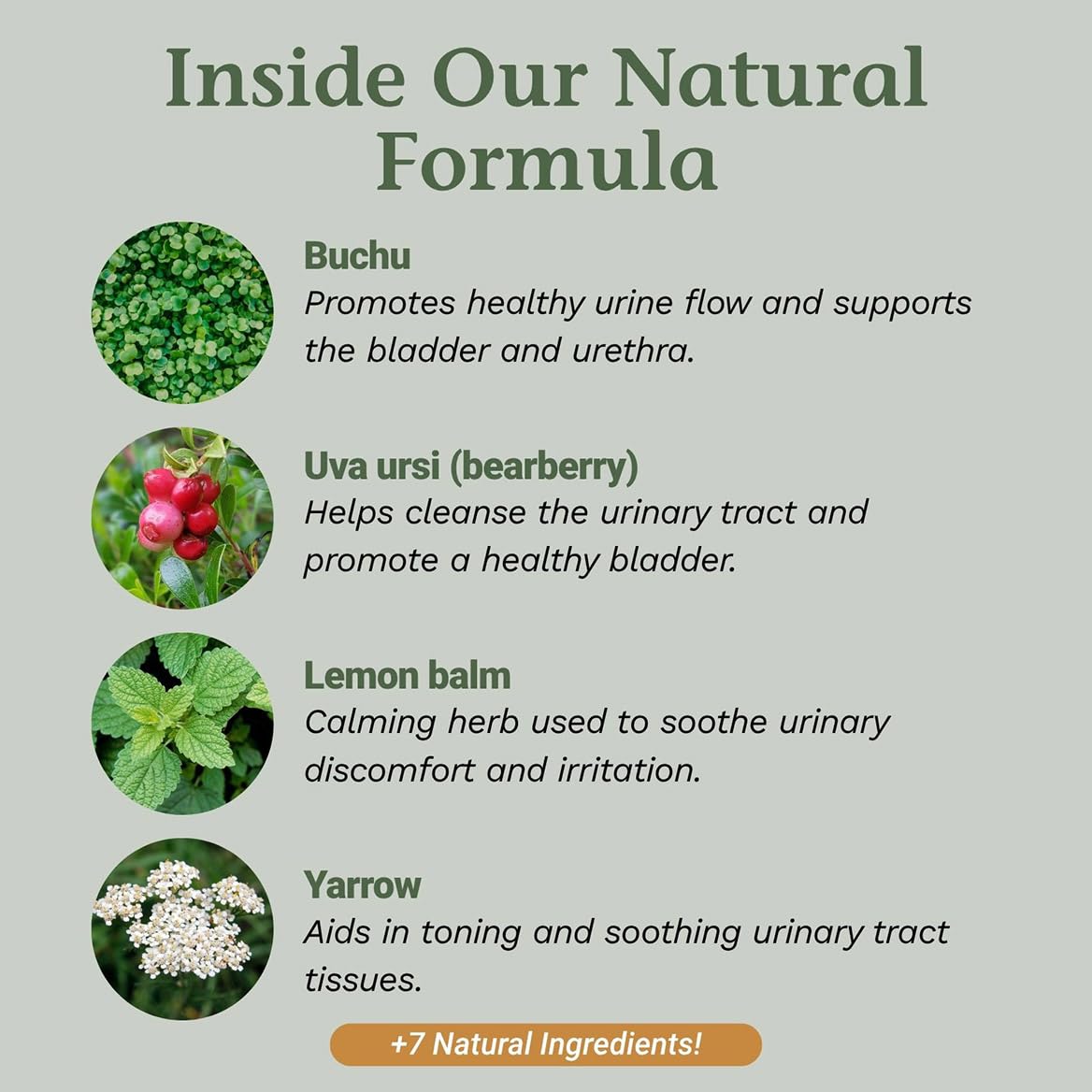 Native Remedies UTI-Clear for Urinary Tract and Bladder Health, 59 ml Native RemediesAu supplements