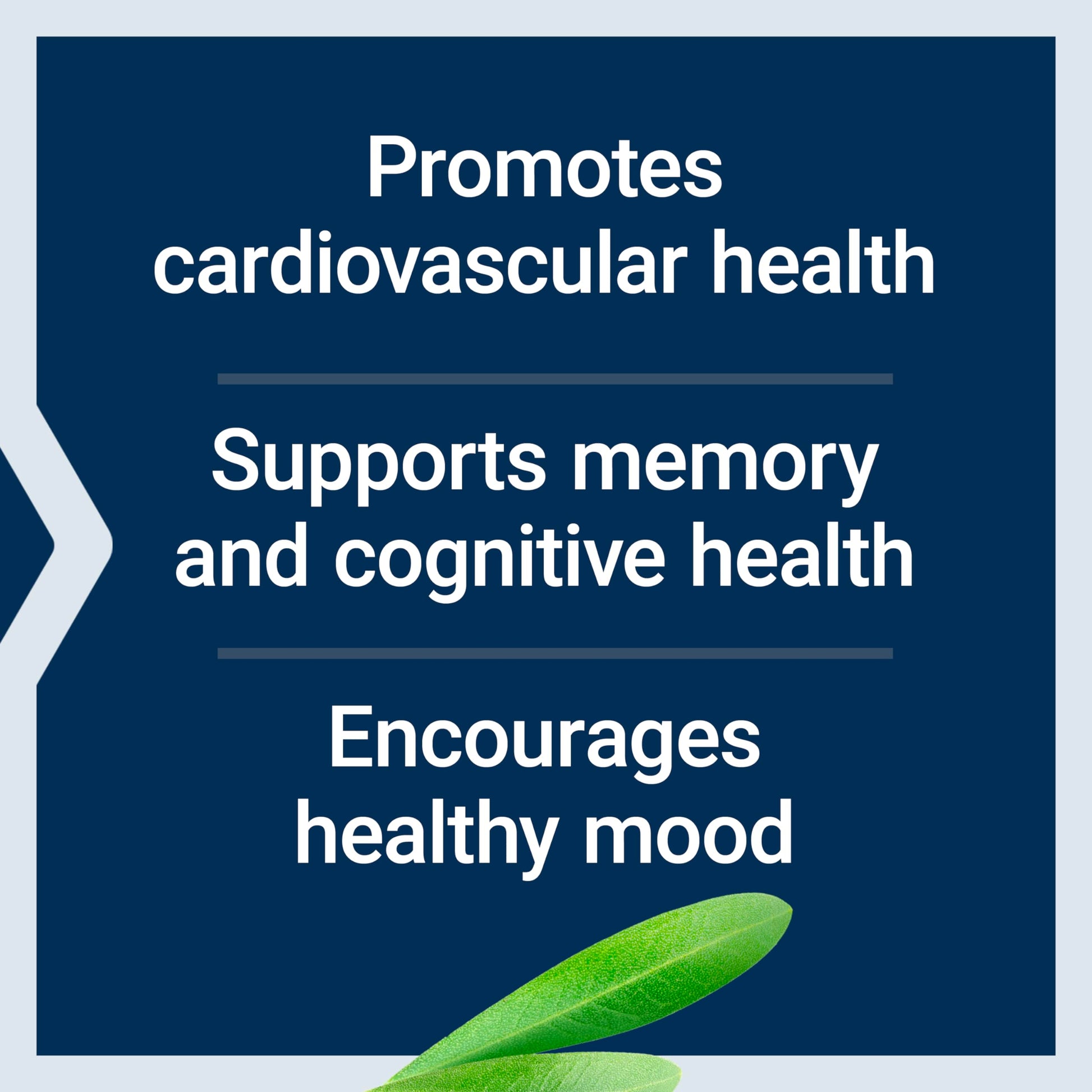 Life Extension Healthy Aging Powder, Healthy Aging Supplement, Heart Health, Brain Health, Exercise Performance, Taurine, Lithium, spermidine, Powder Blend, Non-GMO, Vegetarian, 30 Servings Life ExtensionAu supplements