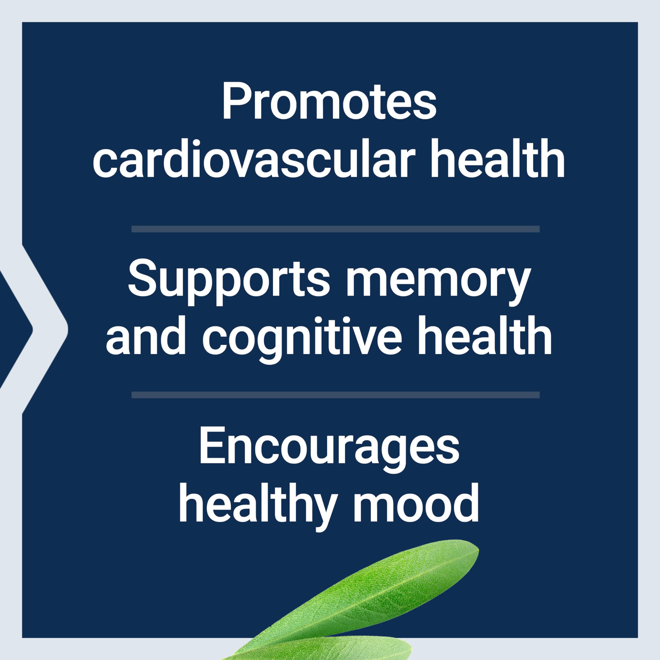 Life Extension Healthy Aging Powder, Healthy Aging Supplement, Heart Health, Brain Health, Exercise Performance, Taurine, Lithium, spermidine, Powder Blend, Non-GMO, Vegetarian, 30 Servings Life ExtensionAu supplements