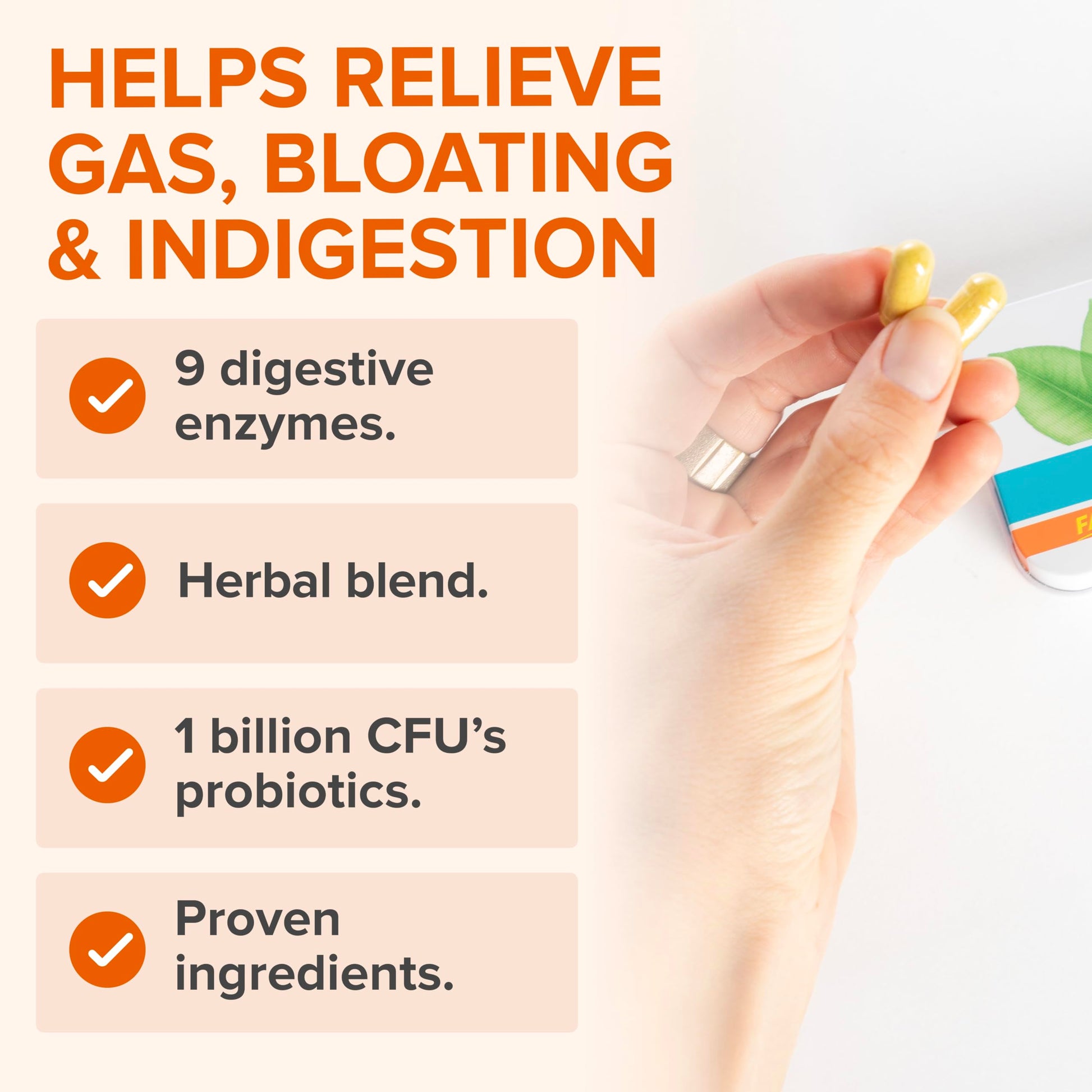 Zenwise Health No Bloat Probiotics for Women and Men Digestive Health with Ginger, Dandelion, and Lactase, Digestive Enzymes for Gas and Bloating Relief - Vegan Water Retention Pills - 14 CT Zenwise HealthAu supplements