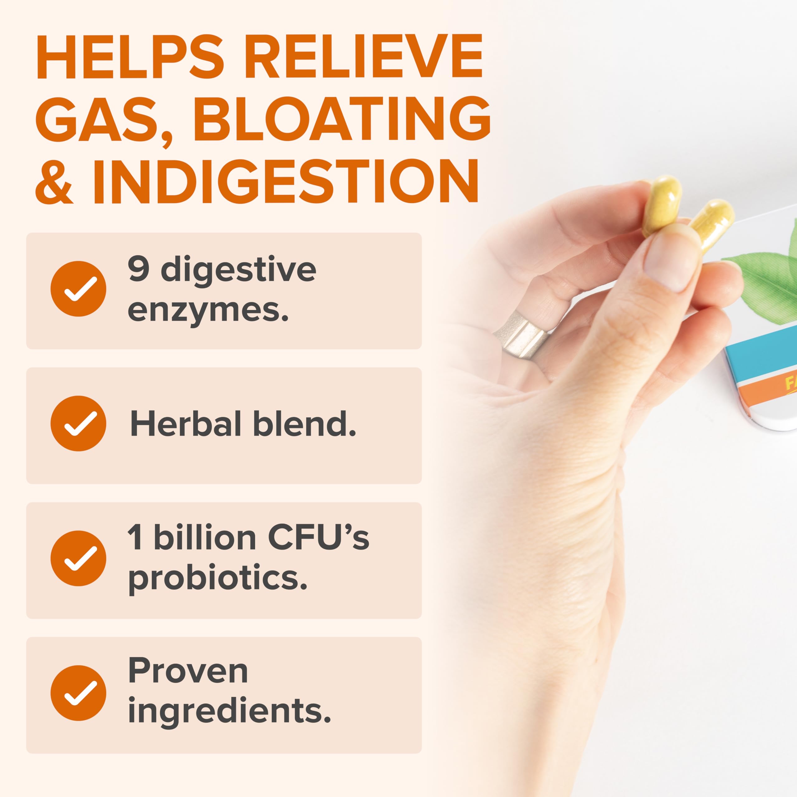 Zenwise Health No Bloat Probiotics for Women and Men Digestive Health with Ginger, Dandelion, and Lactase, Digestive Enzymes for Gas and Bloating Relief - Vegan Water Retention Pills - 14 CT Zenwise HealthAu supplements