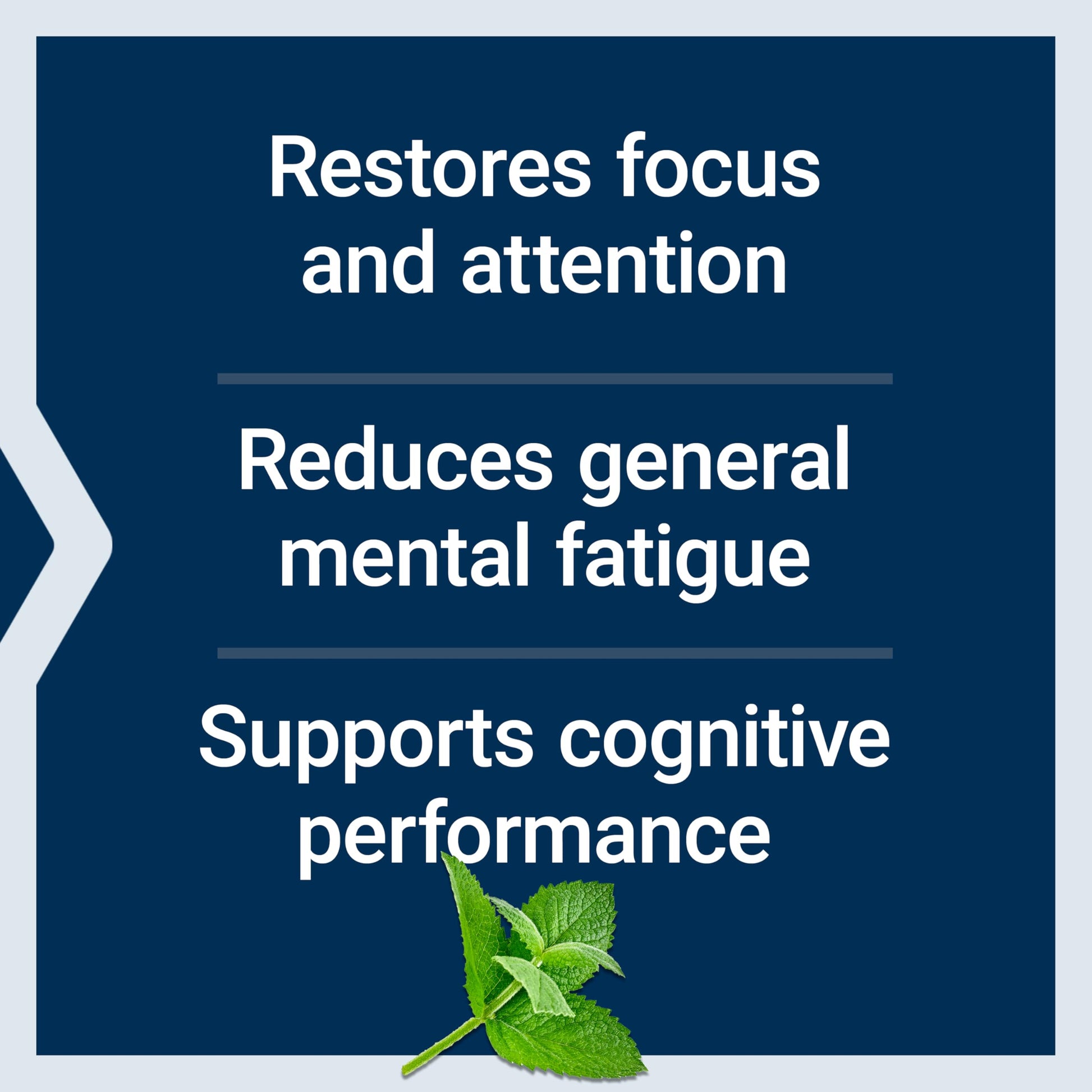 Life Extension Brain Fog Relief, Mango Leaf Extract, standardized Peppermint Oil, nootropic Brain Supplement for Clarity and Focus, Fast-Acting, Caffeine-Free, Gluten Free, Non-GMO, 30 softgels Life ExtensionAu supplements