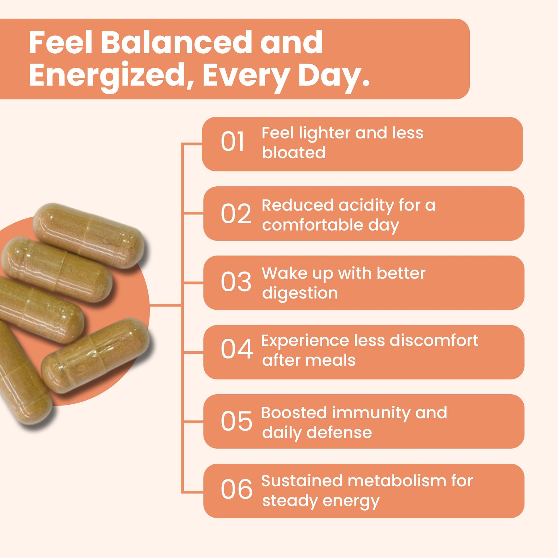 iMeMyself WellGut Daily Herbal Supplement | Traditional Herbs with Minerals & Probiotics 90 Vegan Capsules iMeMyselfAu supplements