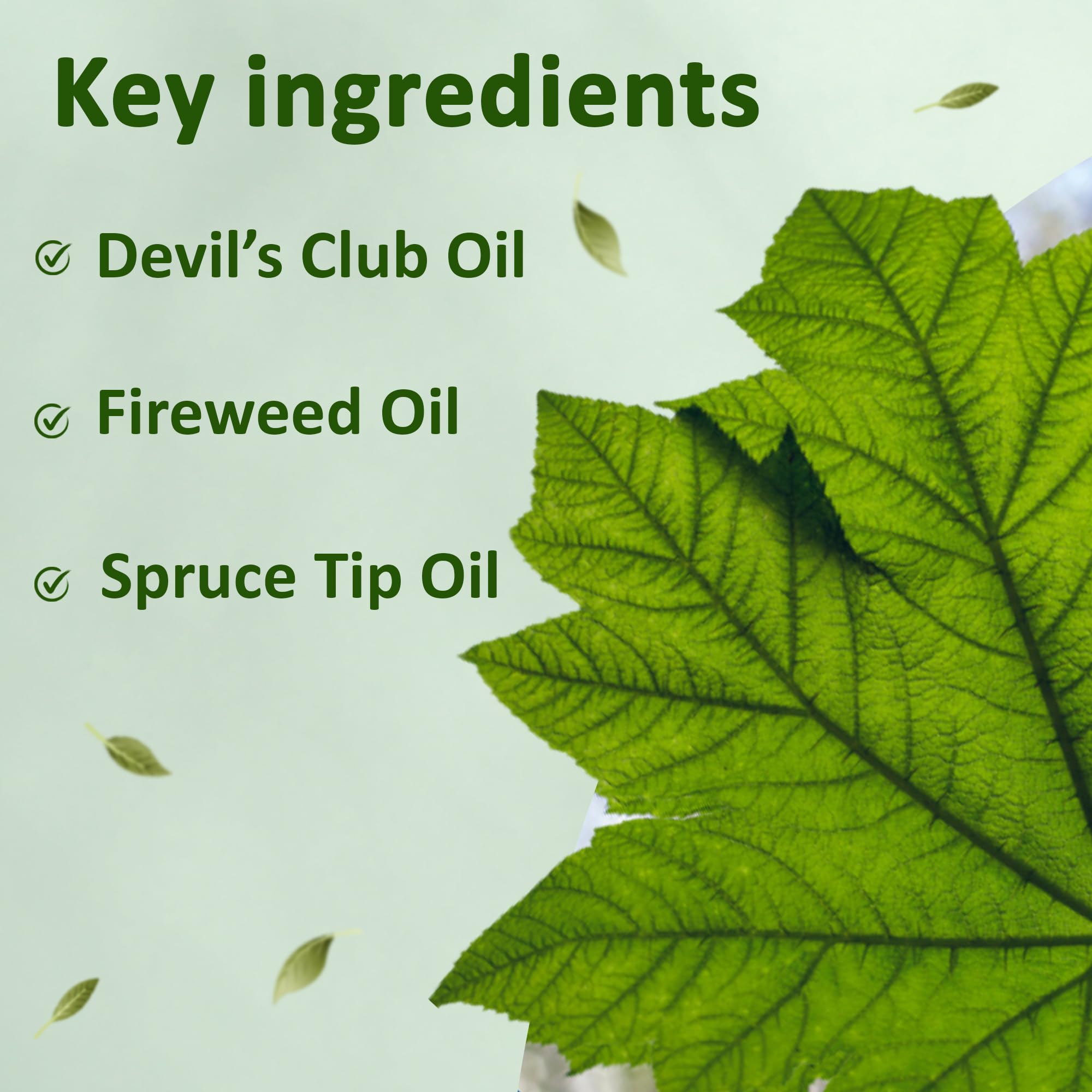 Snowy Summit Alaska Rainforest Salve - Herbal Salve for Dry Skin & Joint Relief - Natural Super Salve for Soothing Skin with Gentle Aroma - Body & Hand Salve - Muscle Rub with Alaskan Devil’s Club Oil Snowy SummitAu supplements