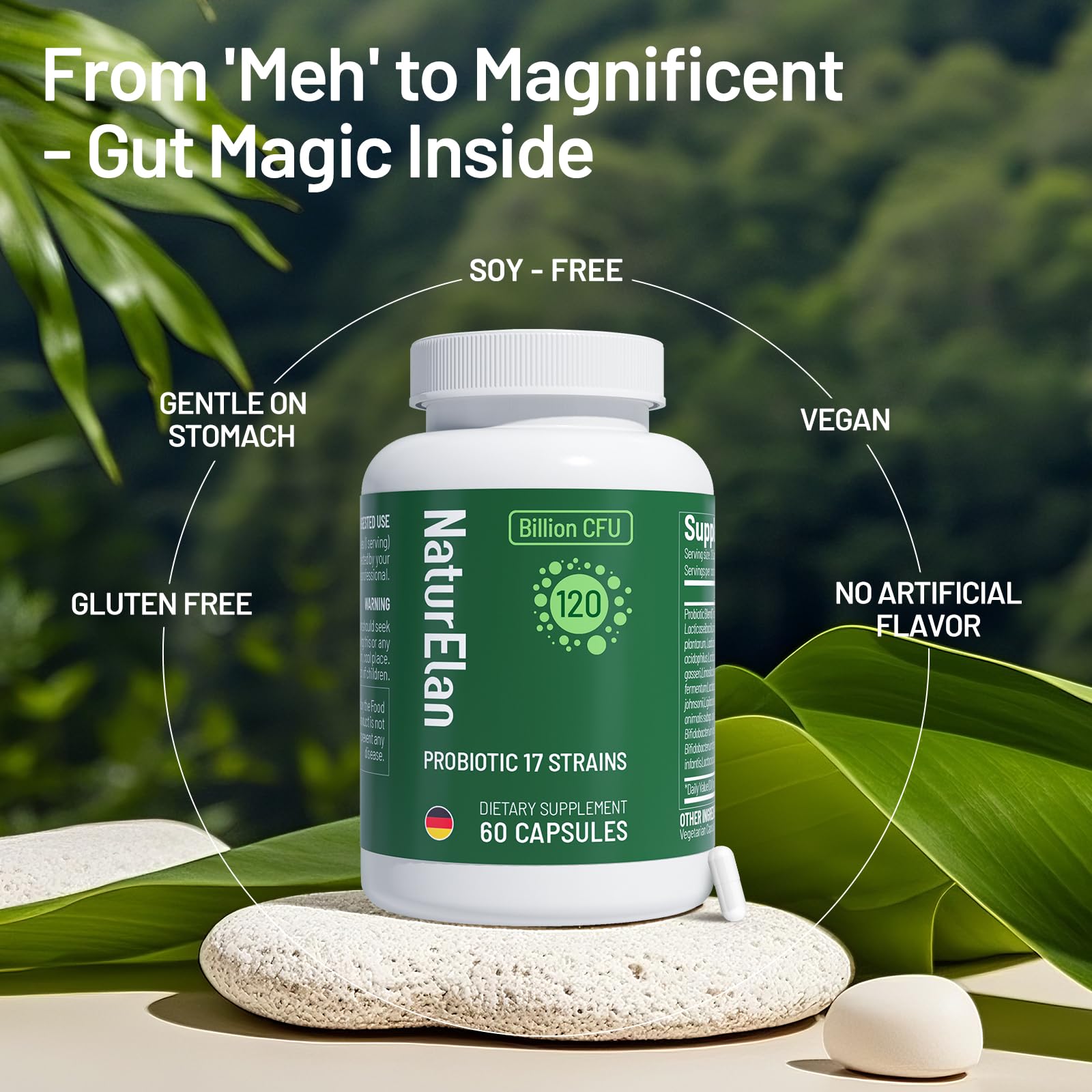 Probiotics for Women & Men - 120 Billion CFU, 17 Powerful Strains for Gut Health, Immunity & Fast Bloating Relief, Third - Party Tested, Non-GMO & Vegan Probiotics Formula for Digestive Health, 60 CT NaturElanAu supplements