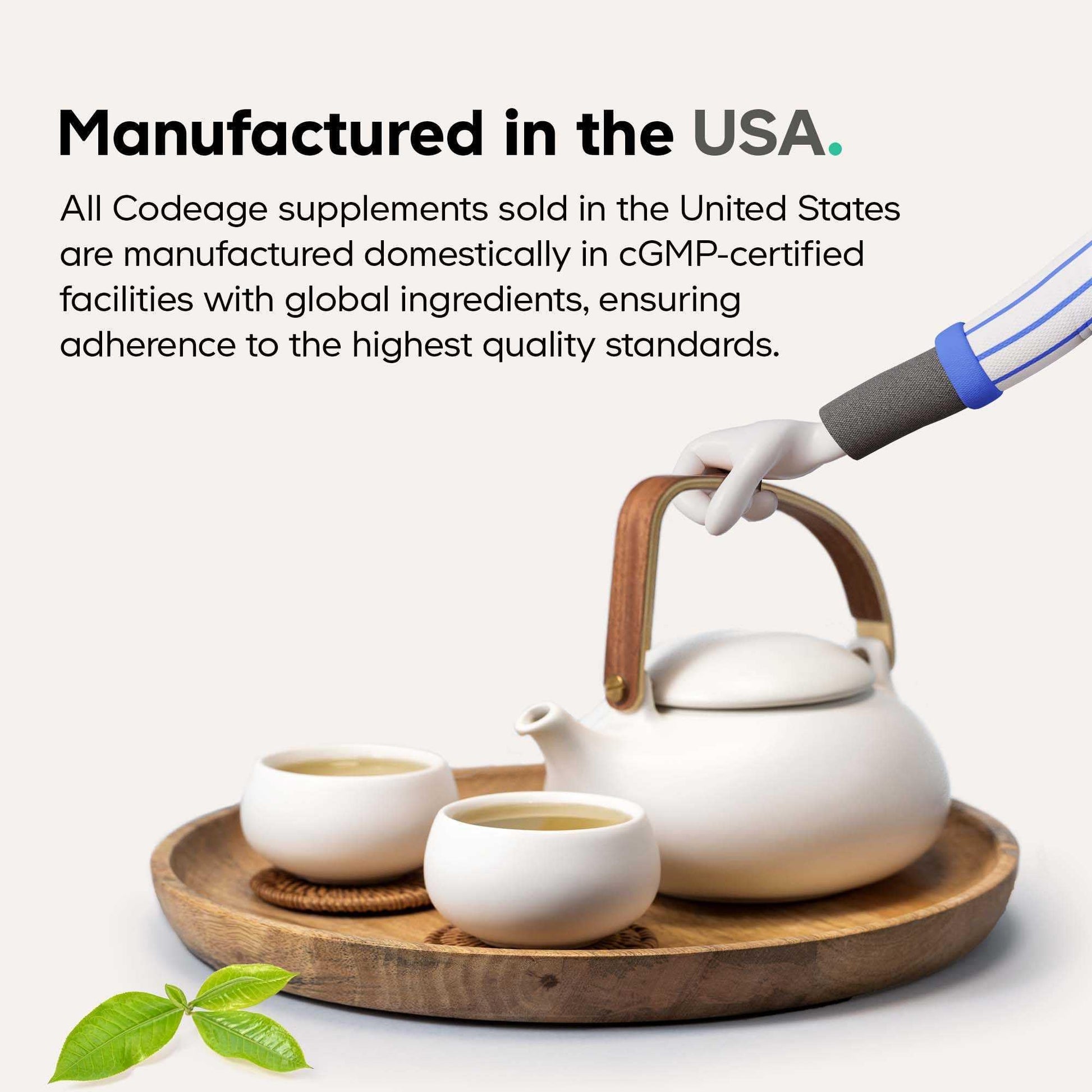 Codeage Akkermansia Synbiotic Supplement - 100 Million AFU Akkermansia Probiotic & Chicory Inulin Prebiotic - Chicory Root - 1 Capsule Per Serving - Non-GMO, Gluten-Free - 30 Capsules CodeageAu supplements