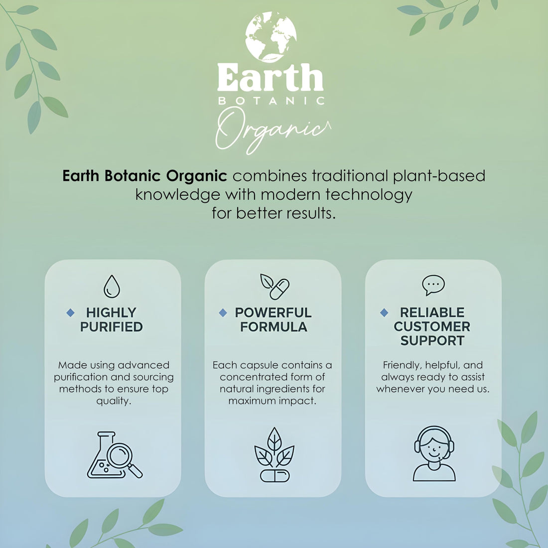 Earth BOTANIC Organic Apricot Extract, 1000 mg 120 Veggie Capsules (Vegan, Non-GMO) Herbal Supplements Earth BOTANIC OrganicAu supplements